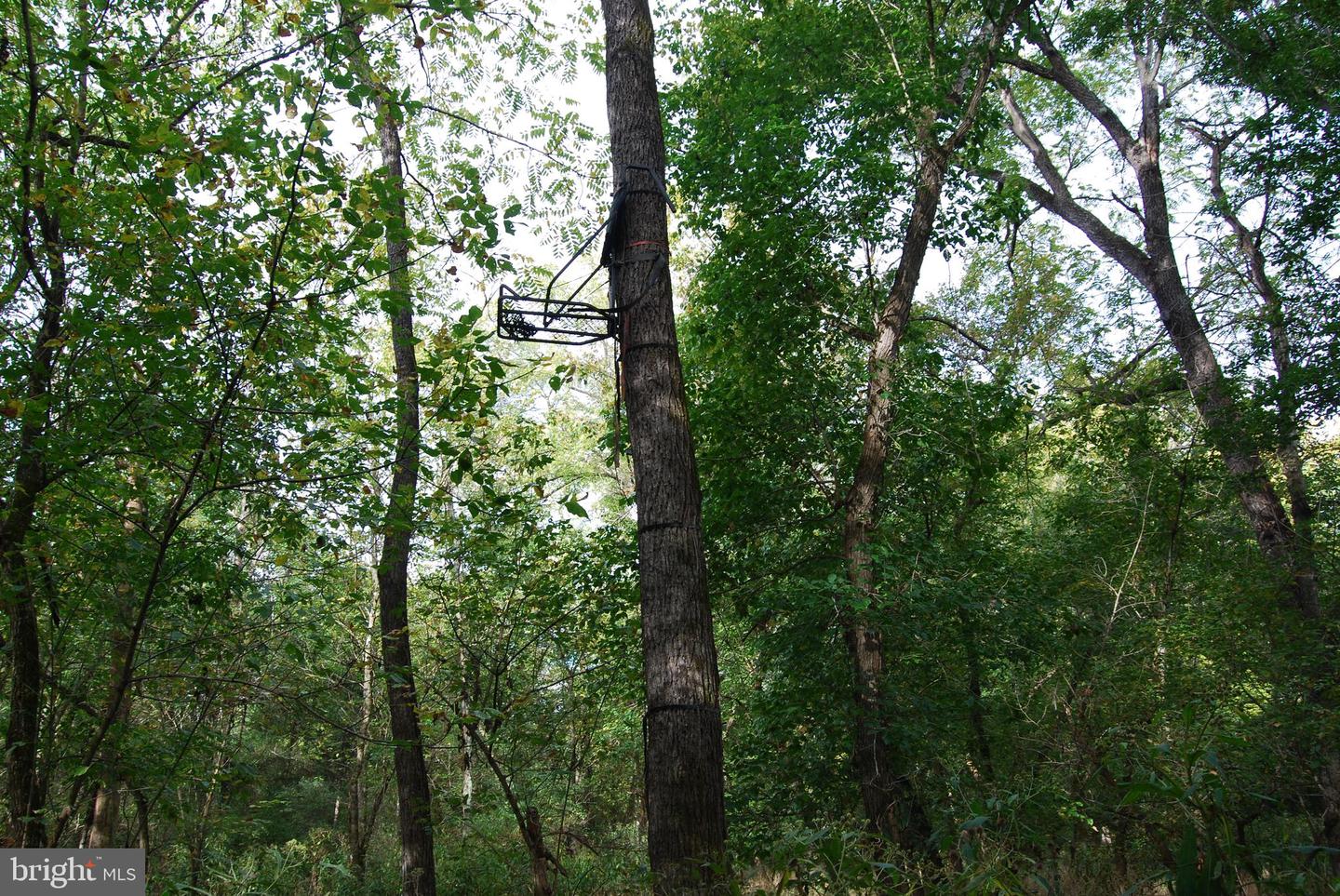 2983 OLD WINCHESTER RD, BOYCE, Virginia 22620, 3 Bedrooms Bedrooms, ,2 BathroomsBathrooms,Residential,For sale,2983 OLD WINCHESTER RD,VACL2006126 MLS # VACL2006126 2983 OLD WINCHESTER RD, BOYCE, Virginia 22620, 3 Bedrooms Bedrooms, ,2 BathroomsBathrooms,Residential,For sale,2983 OLD WINCHESTER RD,VACL2006126 MLS # VACL2006126