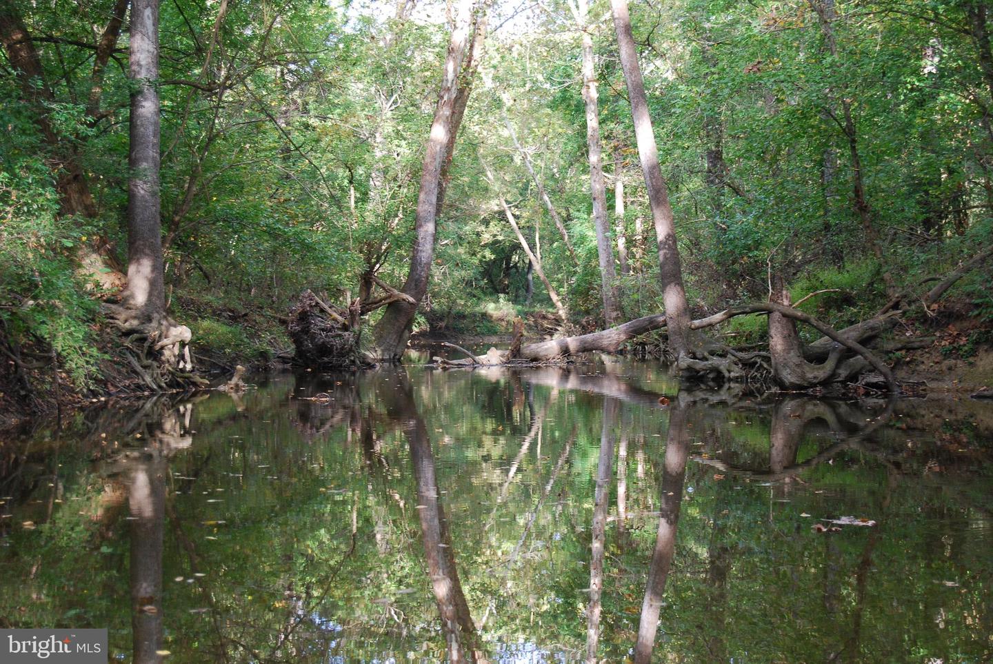 2983 OLD WINCHESTER RD, BOYCE, Virginia 22620, 3 Bedrooms Bedrooms, ,2 BathroomsBathrooms,Residential,For sale,2983 OLD WINCHESTER RD,VACL2006126 MLS # VACL2006126 2983 OLD WINCHESTER RD, BOYCE, Virginia 22620, 3 Bedrooms Bedrooms, ,2 BathroomsBathrooms,Residential,For sale,2983 OLD WINCHESTER RD,VACL2006126 MLS # VACL2006126