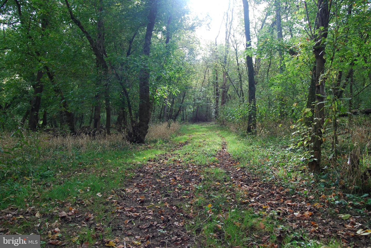 2983 OLD WINCHESTER RD, BOYCE, Virginia 22620, 3 Bedrooms Bedrooms, ,2 BathroomsBathrooms,Residential,For sale,2983 OLD WINCHESTER RD,VACL2006126 MLS # VACL2006126 2983 OLD WINCHESTER RD, BOYCE, Virginia 22620, 3 Bedrooms Bedrooms, ,2 BathroomsBathrooms,Residential,For sale,2983 OLD WINCHESTER RD,VACL2006126 MLS # VACL2006126