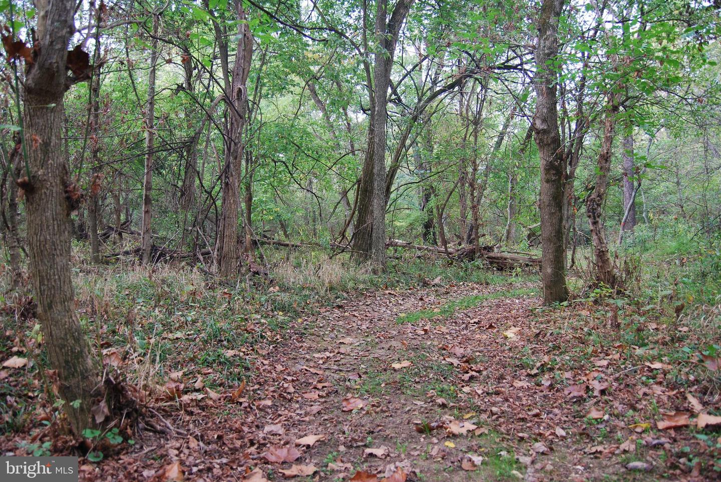 2983 OLD WINCHESTER RD, BOYCE, Virginia 22620, 3 Bedrooms Bedrooms, ,2 BathroomsBathrooms,Residential,For sale,2983 OLD WINCHESTER RD,VACL2006126 MLS # VACL2006126 2983 OLD WINCHESTER RD, BOYCE, Virginia 22620, 3 Bedrooms Bedrooms, ,2 BathroomsBathrooms,Residential,For sale,2983 OLD WINCHESTER RD,VACL2006126 MLS # VACL2006126