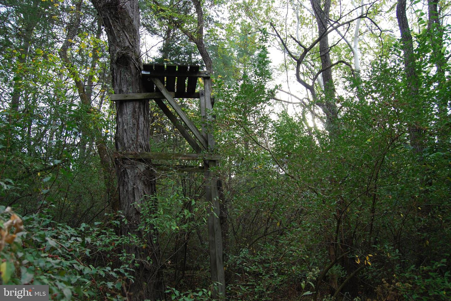 2983 OLD WINCHESTER RD, BOYCE, Virginia 22620, 3 Bedrooms Bedrooms, ,2 BathroomsBathrooms,Residential,For sale,2983 OLD WINCHESTER RD,VACL2006126 MLS # VACL2006126 2983 OLD WINCHESTER RD, BOYCE, Virginia 22620, 3 Bedrooms Bedrooms, ,2 BathroomsBathrooms,Residential,For sale,2983 OLD WINCHESTER RD,VACL2006126 MLS # VACL2006126