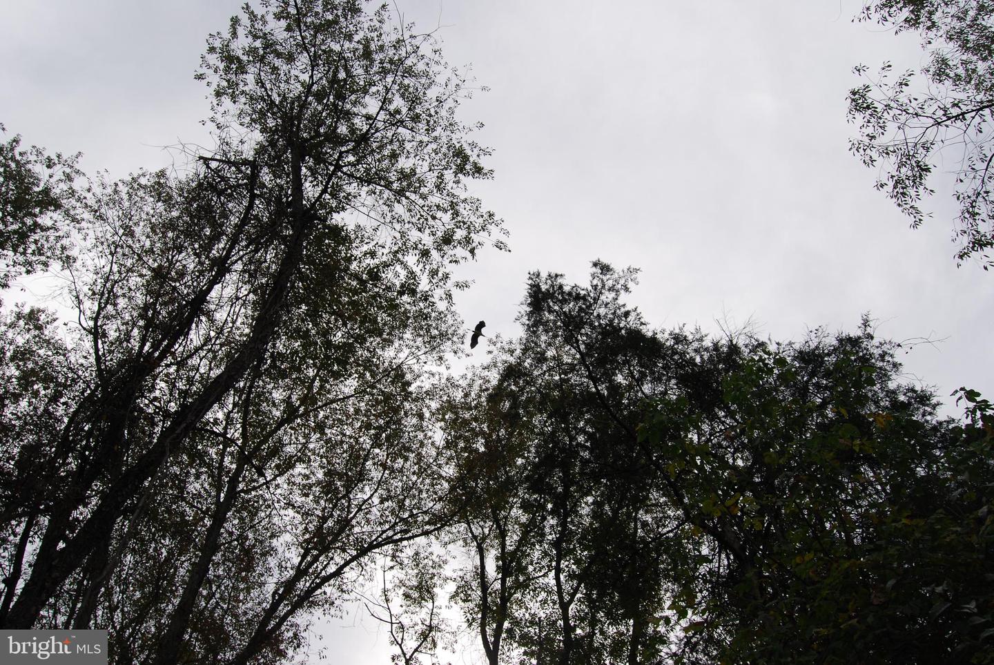 2983 OLD WINCHESTER RD, BOYCE, Virginia 22620, 3 Bedrooms Bedrooms, ,2 BathroomsBathrooms,Residential,For sale,2983 OLD WINCHESTER RD,VACL2006126 MLS # VACL2006126 2983 OLD WINCHESTER RD, BOYCE, Virginia 22620, 3 Bedrooms Bedrooms, ,2 BathroomsBathrooms,Residential,For sale,2983 OLD WINCHESTER RD,VACL2006126 MLS # VACL2006126