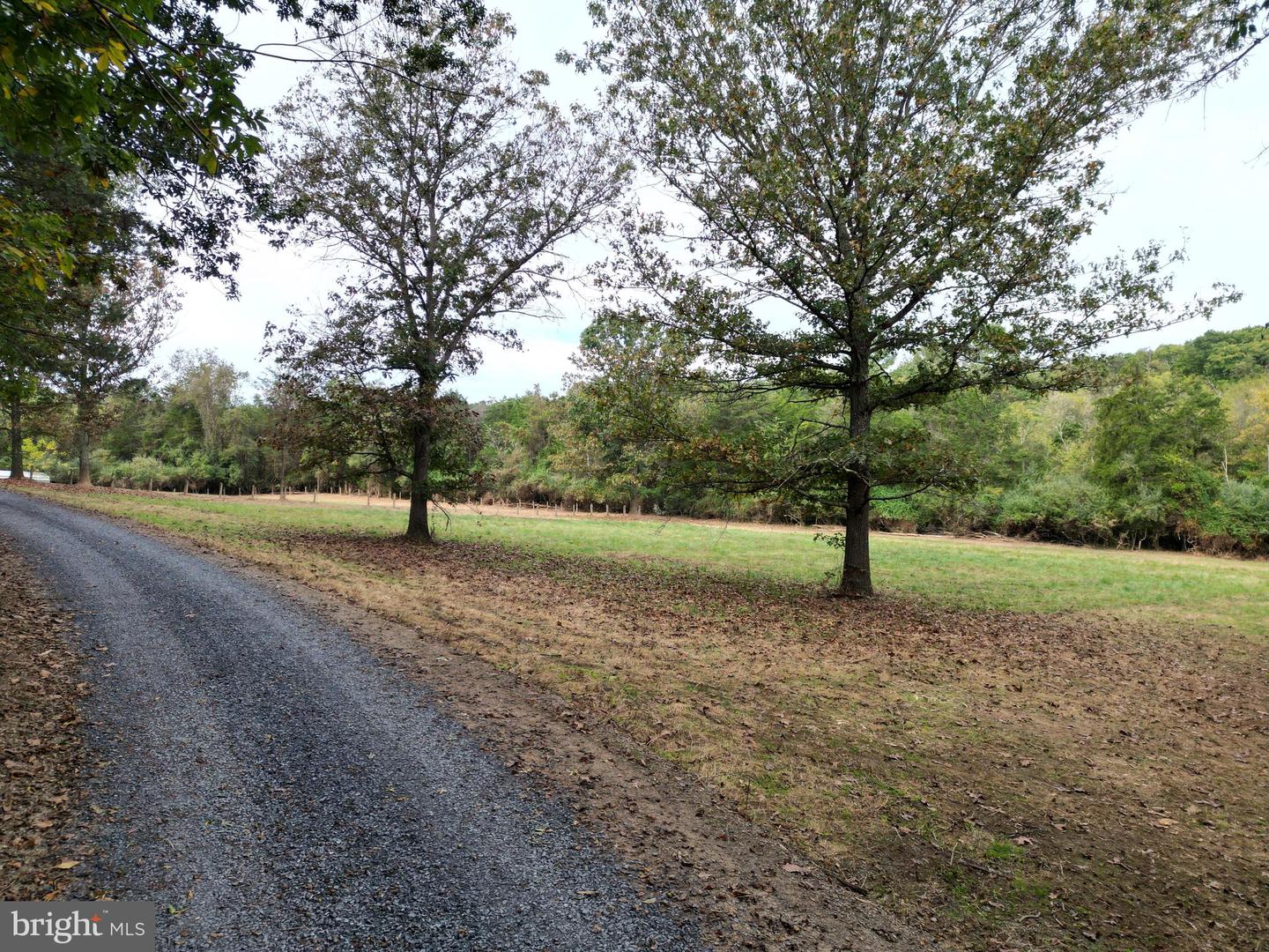 2983 OLD WINCHESTER RD, BOYCE, Virginia 22620, 3 Bedrooms Bedrooms, ,2 BathroomsBathrooms,Residential,For sale,2983 OLD WINCHESTER RD,VACL2006126 MLS # VACL2006126 2983 OLD WINCHESTER RD, BOYCE, Virginia 22620, 3 Bedrooms Bedrooms, ,2 BathroomsBathrooms,Residential,For sale,2983 OLD WINCHESTER RD,VACL2006126 MLS # VACL2006126