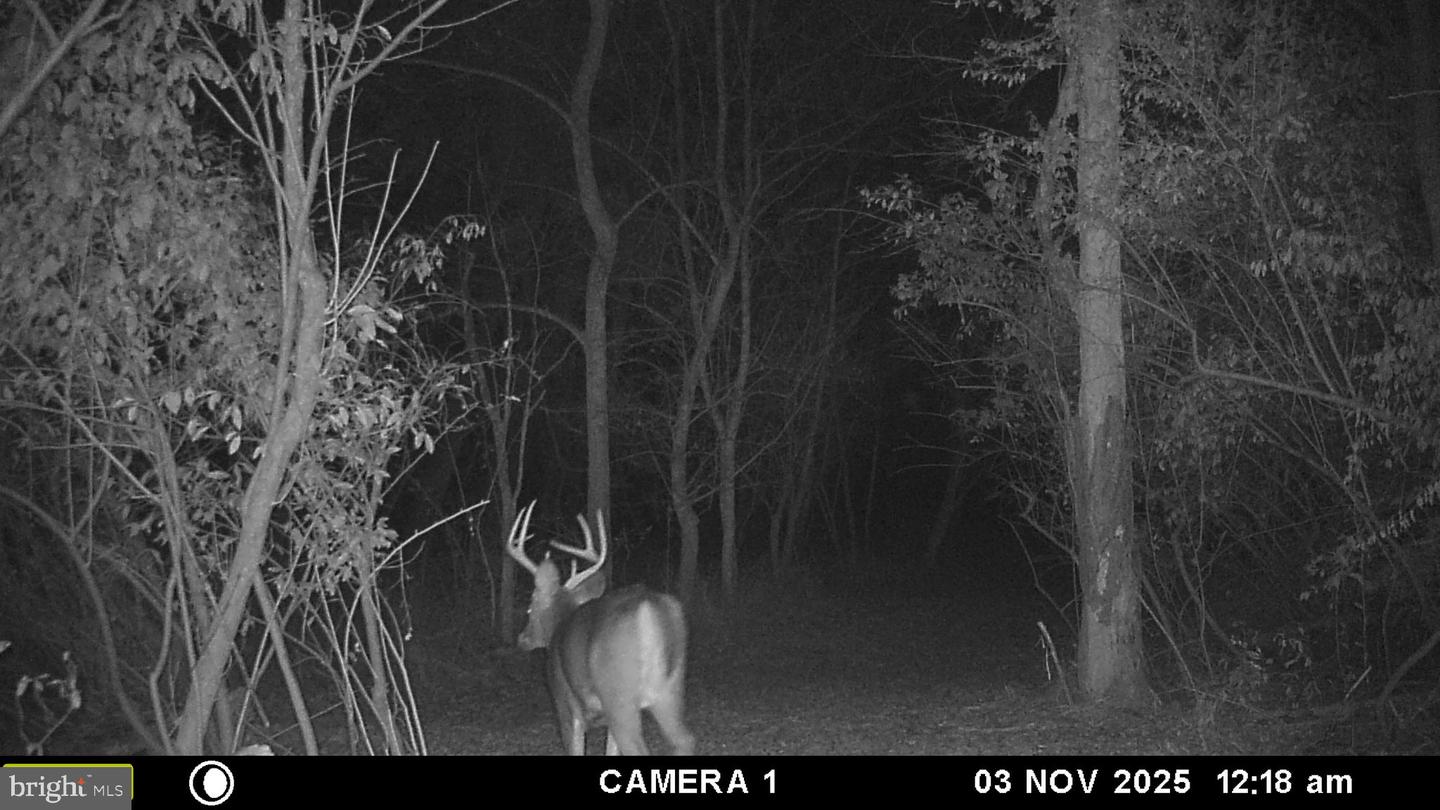 2983 OLD WINCHESTER RD, BOYCE, Virginia 22620, 3 Bedrooms Bedrooms, ,2 BathroomsBathrooms,Residential,For sale,2983 OLD WINCHESTER RD,VACL2006126 MLS # VACL2006126