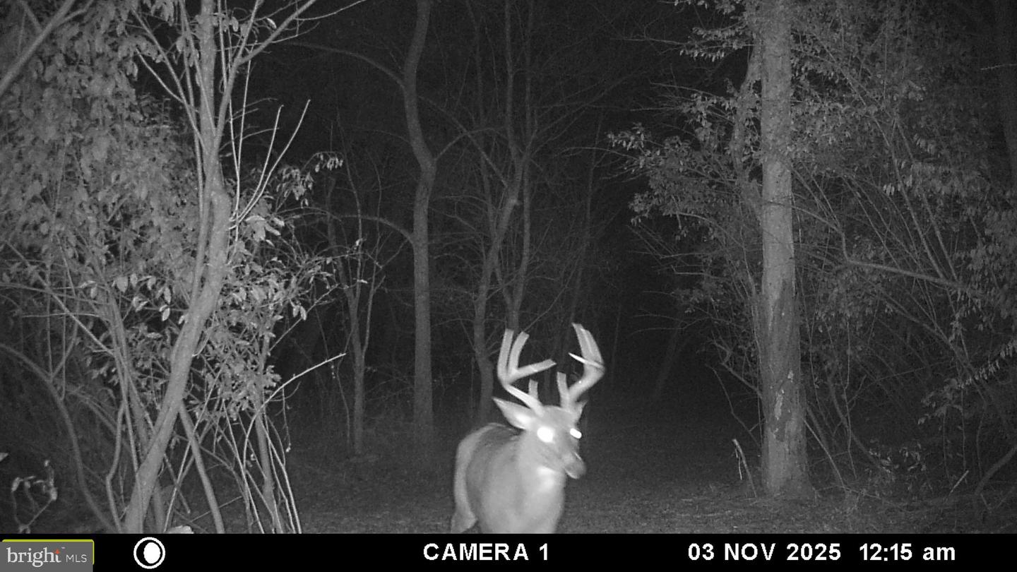 2983 OLD WINCHESTER RD, BOYCE, Virginia 22620, 3 Bedrooms Bedrooms, ,2 BathroomsBathrooms,Residential,For sale,2983 OLD WINCHESTER RD,VACL2006126 MLS # VACL2006126