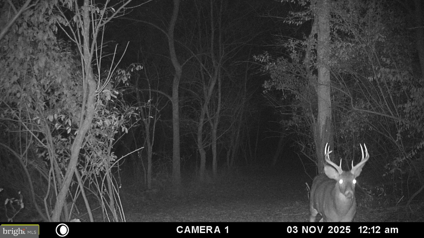 2983 OLD WINCHESTER RD, BOYCE, Virginia 22620, 3 Bedrooms Bedrooms, ,2 BathroomsBathrooms,Residential,For sale,2983 OLD WINCHESTER RD,VACL2006126 MLS # VACL2006126