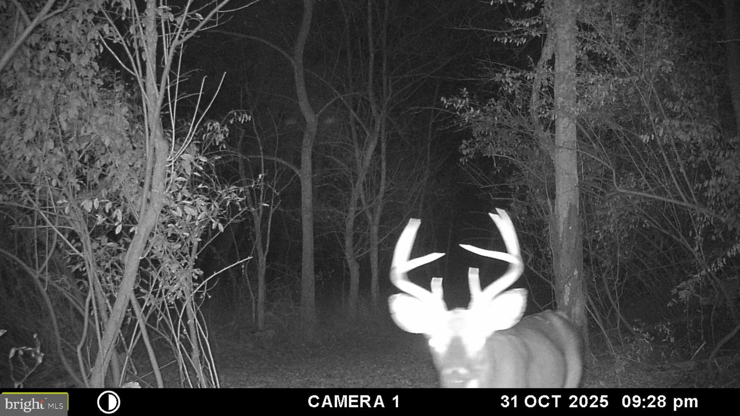 2983 OLD WINCHESTER RD, BOYCE, Virginia 22620, 3 Bedrooms Bedrooms, ,2 BathroomsBathrooms,Residential,For sale,2983 OLD WINCHESTER RD,VACL2006126 MLS # VACL2006126