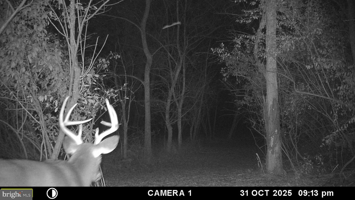 2983 OLD WINCHESTER RD, BOYCE, Virginia 22620, 3 Bedrooms Bedrooms, ,2 BathroomsBathrooms,Residential,For sale,2983 OLD WINCHESTER RD,VACL2006126 MLS # VACL2006126