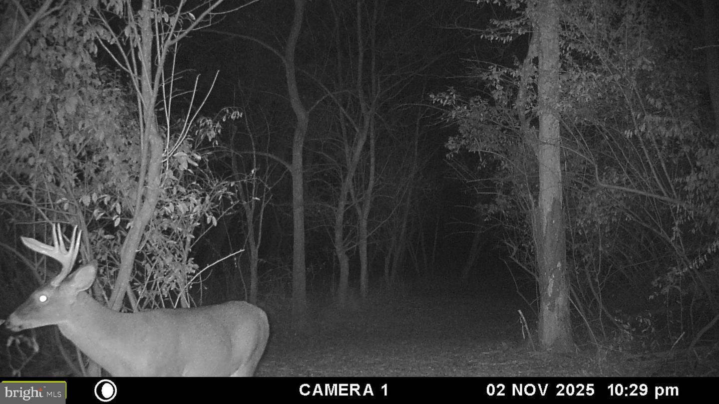 2983 OLD WINCHESTER RD, BOYCE, Virginia 22620, 3 Bedrooms Bedrooms, ,2 BathroomsBathrooms,Residential,For sale,2983 OLD WINCHESTER RD,VACL2006126 MLS # VACL2006126