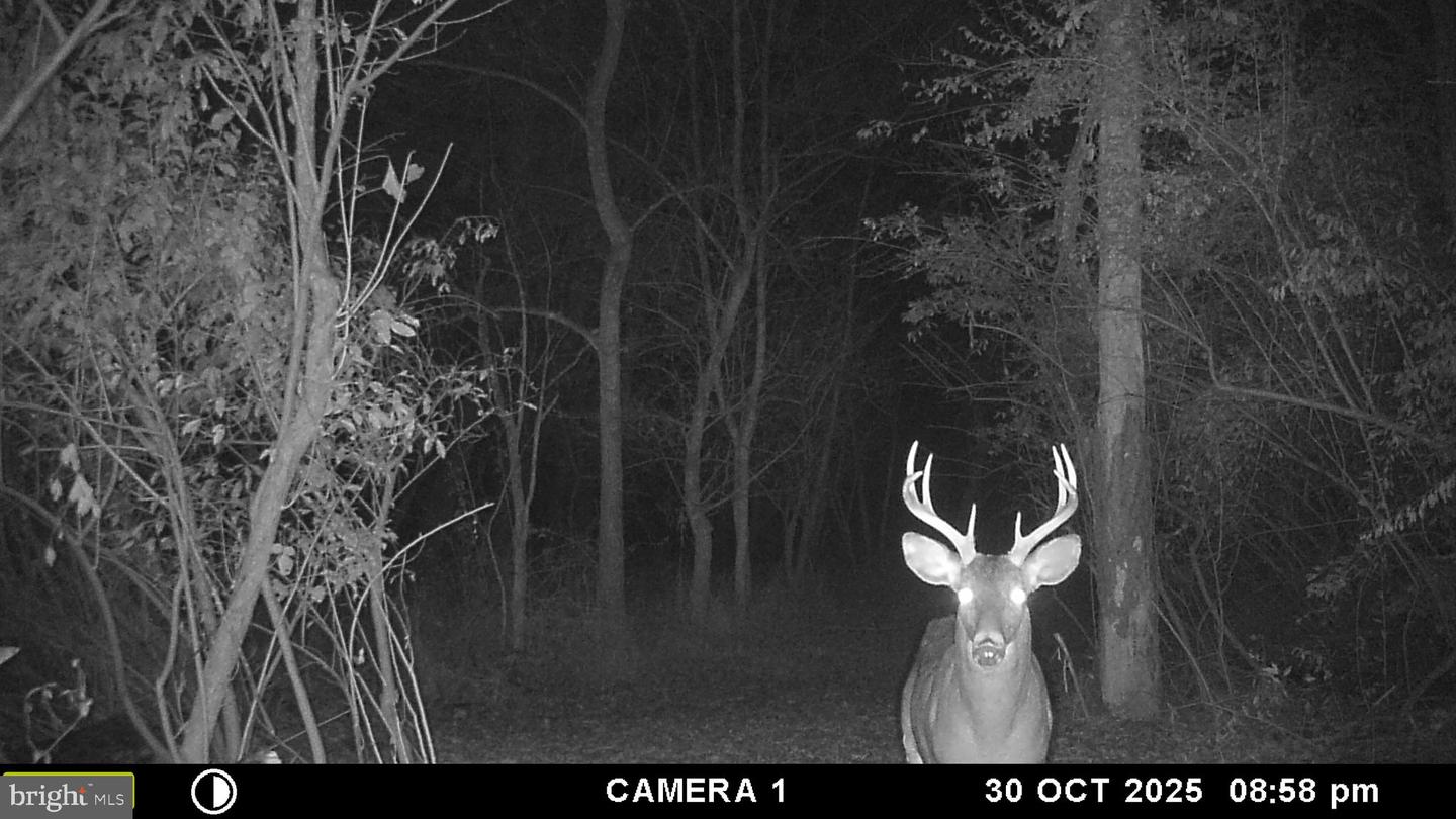 2983 OLD WINCHESTER RD, BOYCE, Virginia 22620, 3 Bedrooms Bedrooms, ,2 BathroomsBathrooms,Residential,For sale,2983 OLD WINCHESTER RD,VACL2006126 MLS # VACL2006126