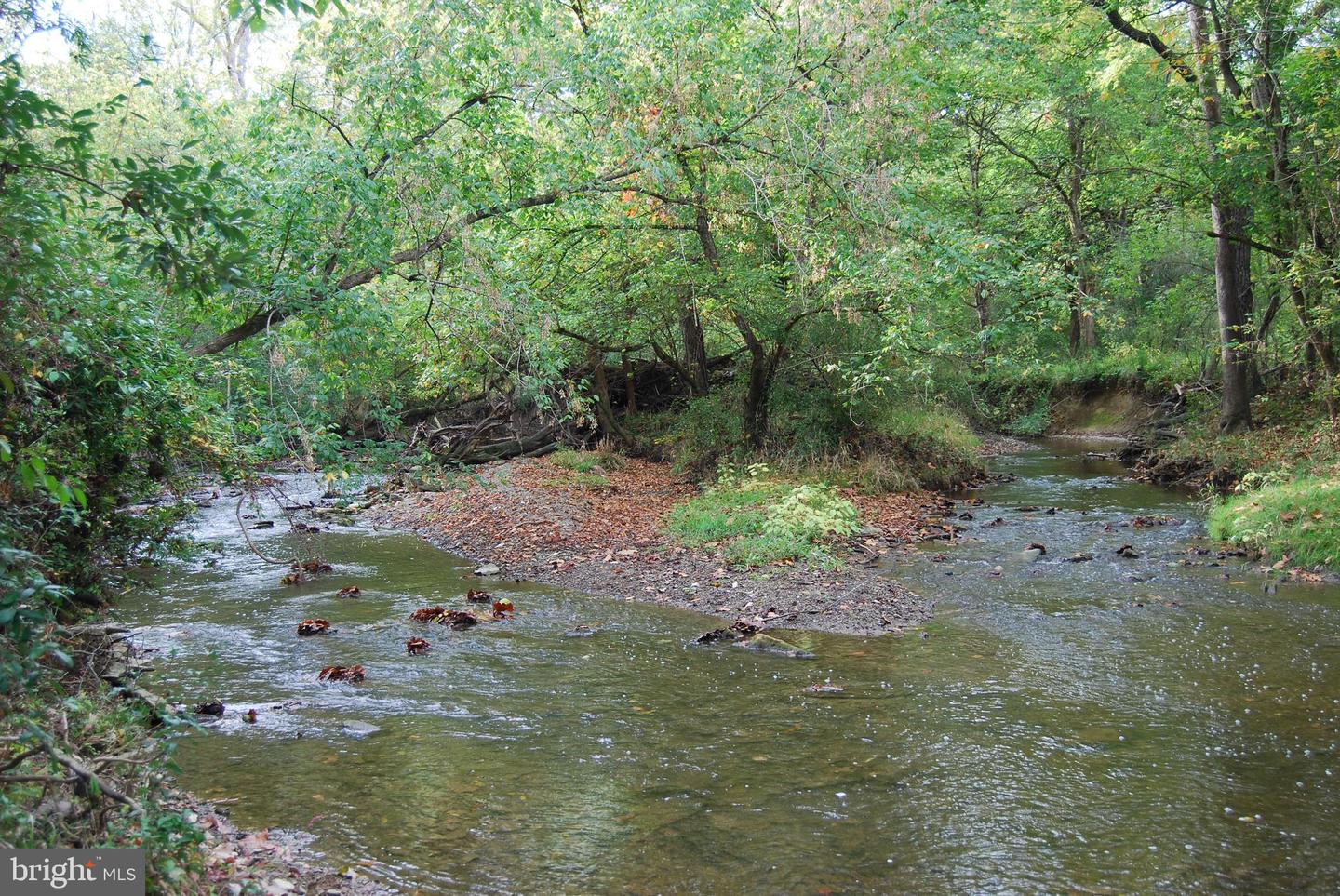 2983 OLD WINCHESTER RD, BOYCE, Virginia 22620, 3 Bedrooms Bedrooms, ,2 BathroomsBathrooms,Residential,For sale,2983 OLD WINCHESTER RD,VACL2006126 MLS # VACL2006126 2983 OLD WINCHESTER RD, BOYCE, Virginia 22620, 3 Bedrooms Bedrooms, ,2 BathroomsBathrooms,Residential,For sale,2983 OLD WINCHESTER RD,VACL2006126 MLS # VACL2006126