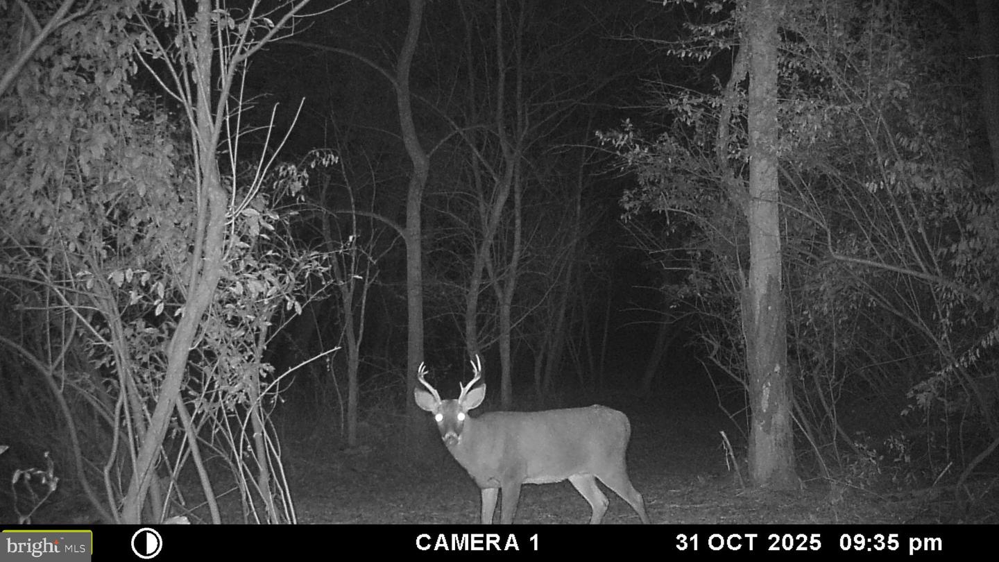 2983 OLD WINCHESTER RD, BOYCE, Virginia 22620, 3 Bedrooms Bedrooms, ,2 BathroomsBathrooms,Residential,For sale,2983 OLD WINCHESTER RD,VACL2006126 MLS # VACL2006126