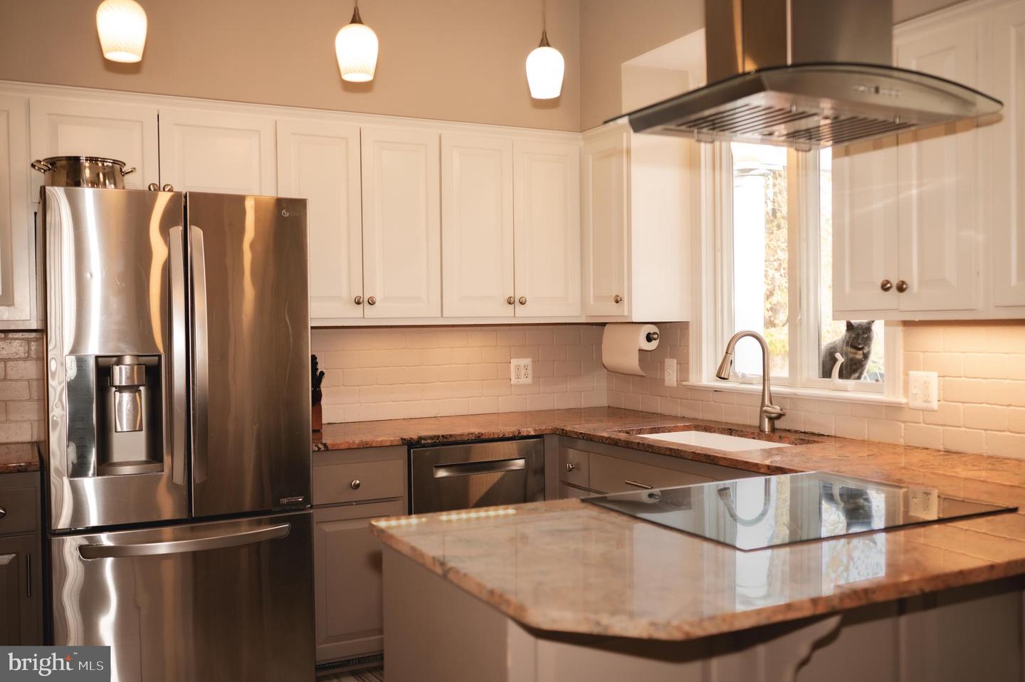 660 COUNTRY CLUB RD, CULPEPER, Virginia 22701, 4 Bedrooms Bedrooms, ,4 BathroomsBathrooms,Residential,For sale,660 COUNTRY CLUB RD,VACU2011824 MLS # VACU2011824 660 COUNTRY CLUB RD, CULPEPER, Virginia 22701, 4 Bedrooms Bedrooms, ,4 BathroomsBathrooms,Residential,For sale,660 COUNTRY CLUB RD,VACU2011824 MLS # VACU2011824