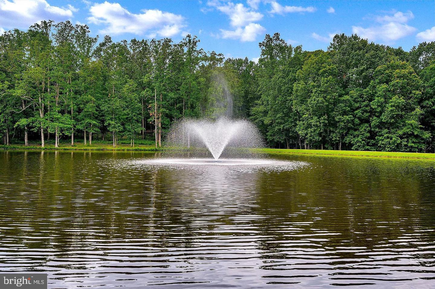 309 LIBERTY, LOCUST GROVE, Virginia 22508, 5 Bedrooms Bedrooms, 8 Rooms Rooms,3 BathroomsBathrooms,Residential,For sale,309 LIBERTY,VAOR2012636 MLS # VAOR2012636