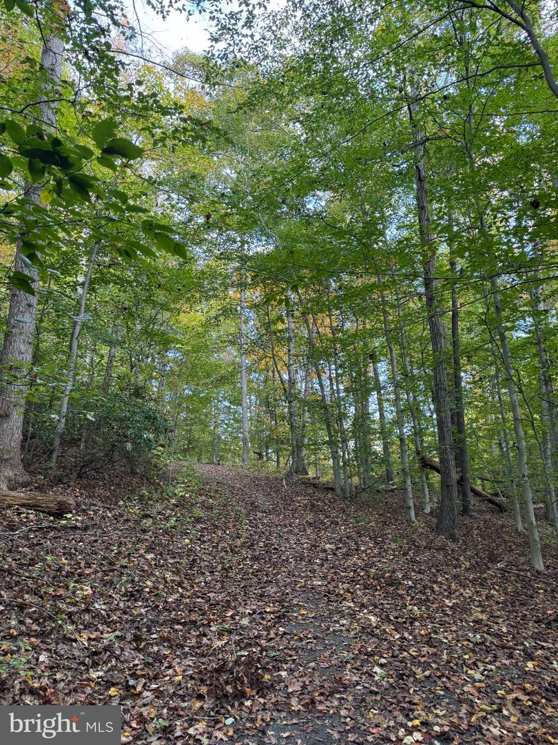 8715 WADEBROOK TER, SPRINGFIELD, Virginia 22153, 3 Bedrooms Bedrooms, 11 Rooms Rooms,3 BathroomsBathrooms,Residential,For sale,8715 WADEBROOK TER,VAFX2276226 MLS # VAFX2276226 8715 WADEBROOK TER, SPRINGFIELD, Virginia 22153, 3 Bedrooms Bedrooms, 11 Rooms Rooms,3 BathroomsBathrooms,Residential,For sale,8715 WADEBROOK TER,VAFX2276226 MLS # VAFX2276226