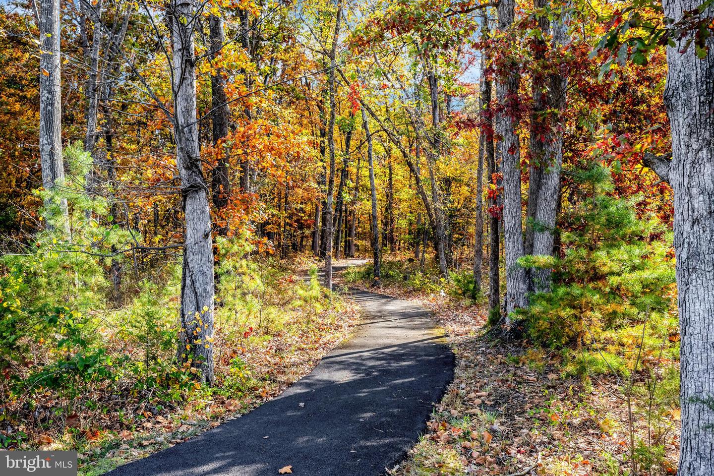 25312 TRUMPET VINE TER, ALDIE, Virginia 20105, 3 Bedrooms Bedrooms, ,2 BathroomsBathrooms,Residential,For sale,25312 TRUMPET VINE TER,VALO2109676 MLS # VALO2109676