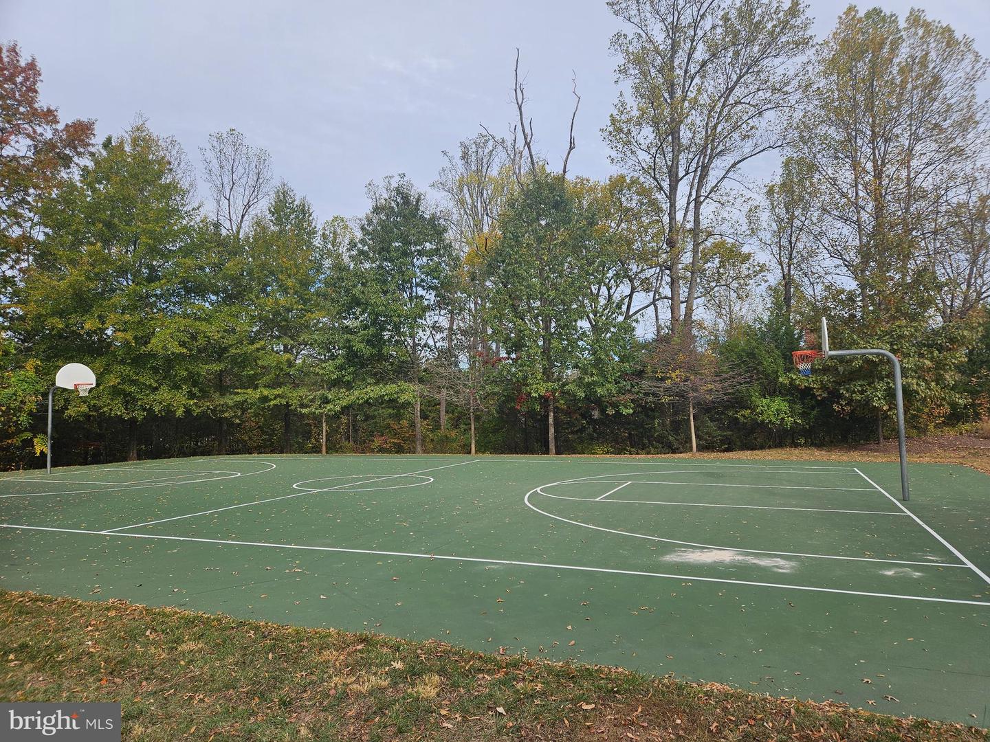 16061 PITNER ST, HAYMARKET, Virginia 20169, 3 Bedrooms Bedrooms, 7 Rooms Rooms,2 BathroomsBathrooms,Residential,For sale,16061 PITNER ST,VAPW2106776 MLS # VAPW2106776