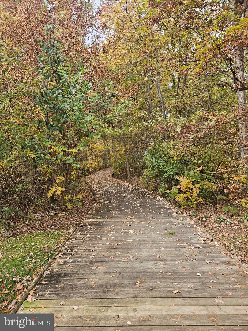 16061 PITNER ST, HAYMARKET, Virginia 20169, 3 Bedrooms Bedrooms, 7 Rooms Rooms,2 BathroomsBathrooms,Residential,For sale,16061 PITNER ST,VAPW2106776 MLS # VAPW2106776