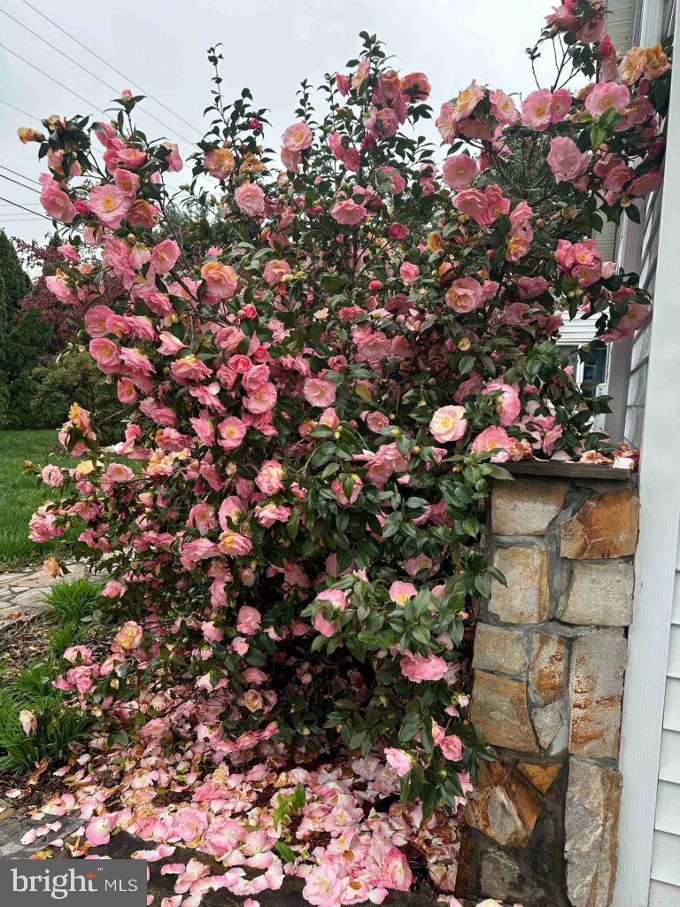 9720 FIVE OAKS RD, FAIRFAX, Virginia 22031, 6 Bedrooms Bedrooms, ,4 BathroomsBathrooms,Residential,For sale,9720 FIVE OAKS RD,VAFX2276348 MLS # VAFX2276348 9720 FIVE OAKS RD, FAIRFAX, Virginia 22031, 6 Bedrooms Bedrooms, ,4 BathroomsBathrooms,Residential,For sale,9720 FIVE OAKS RD,VAFX2276348 MLS # VAFX2276348