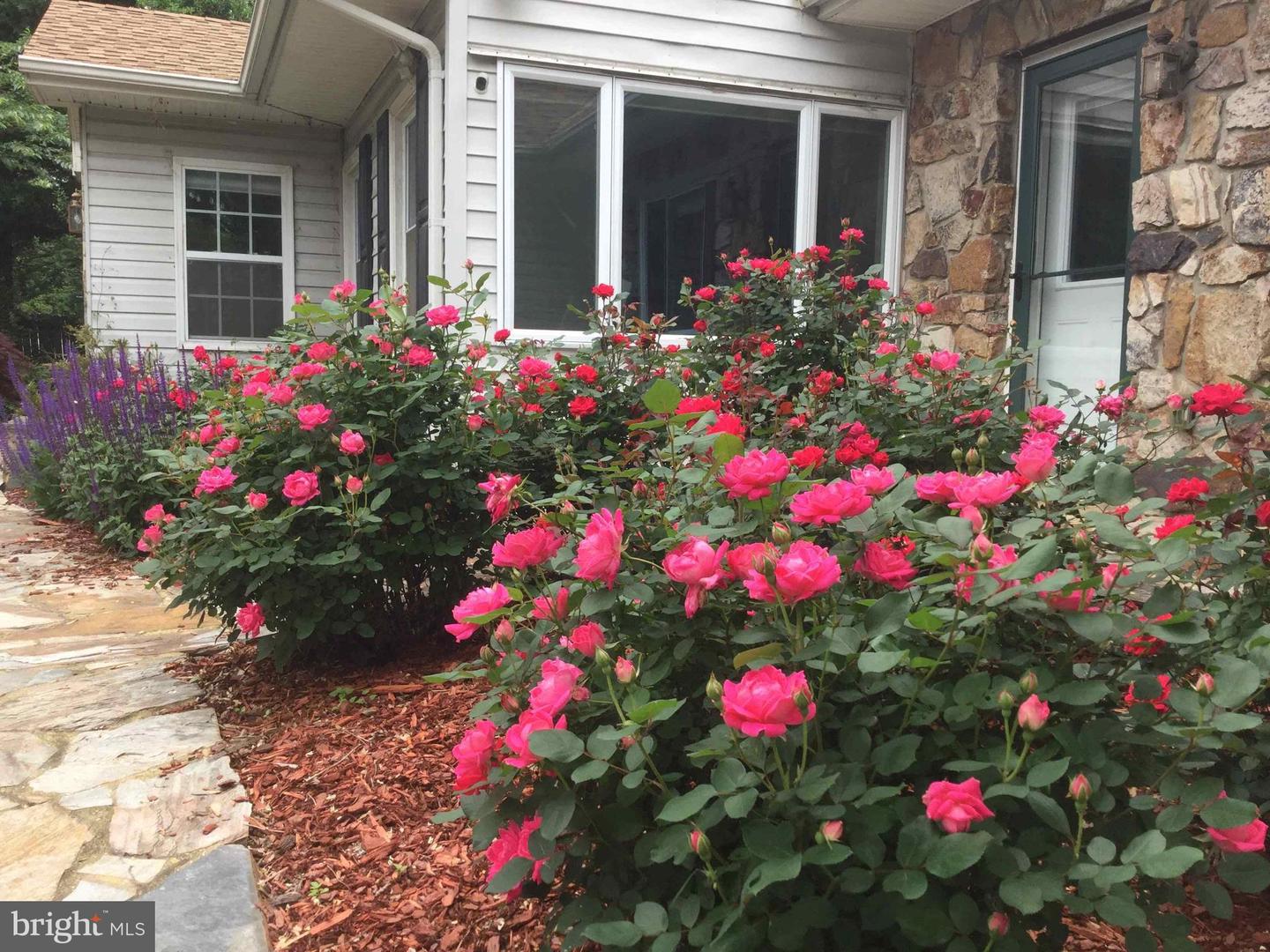 9720 FIVE OAKS RD, FAIRFAX, Virginia 22031, 6 Bedrooms Bedrooms, ,4 BathroomsBathrooms,Residential,For sale,9720 FIVE OAKS RD,VAFX2276348 MLS # VAFX2276348 9720 FIVE OAKS RD, FAIRFAX, Virginia 22031, 6 Bedrooms Bedrooms, ,4 BathroomsBathrooms,Residential,For sale,9720 FIVE OAKS RD,VAFX2276348 MLS # VAFX2276348