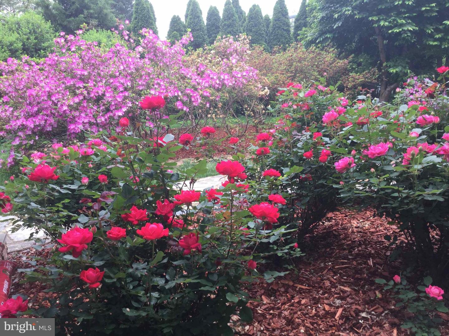 9720 FIVE OAKS RD, FAIRFAX, Virginia 22031, 6 Bedrooms Bedrooms, ,4 BathroomsBathrooms,Residential,For sale,9720 FIVE OAKS RD,VAFX2276348 MLS # VAFX2276348 9720 FIVE OAKS RD, FAIRFAX, Virginia 22031, 6 Bedrooms Bedrooms, ,4 BathroomsBathrooms,Residential,For sale,9720 FIVE OAKS RD,VAFX2276348 MLS # VAFX2276348