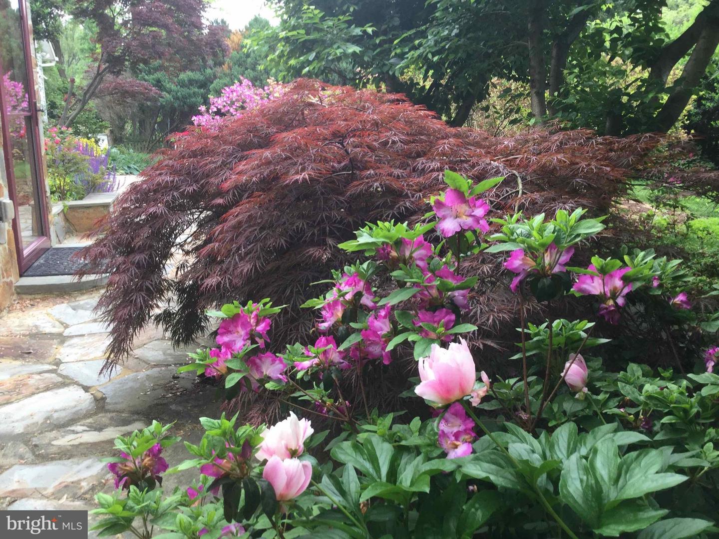 9720 FIVE OAKS RD, FAIRFAX, Virginia 22031, 6 Bedrooms Bedrooms, ,4 BathroomsBathrooms,Residential,For sale,9720 FIVE OAKS RD,VAFX2276348 MLS # VAFX2276348 9720 FIVE OAKS RD, FAIRFAX, Virginia 22031, 6 Bedrooms Bedrooms, ,4 BathroomsBathrooms,Residential,For sale,9720 FIVE OAKS RD,VAFX2276348 MLS # VAFX2276348