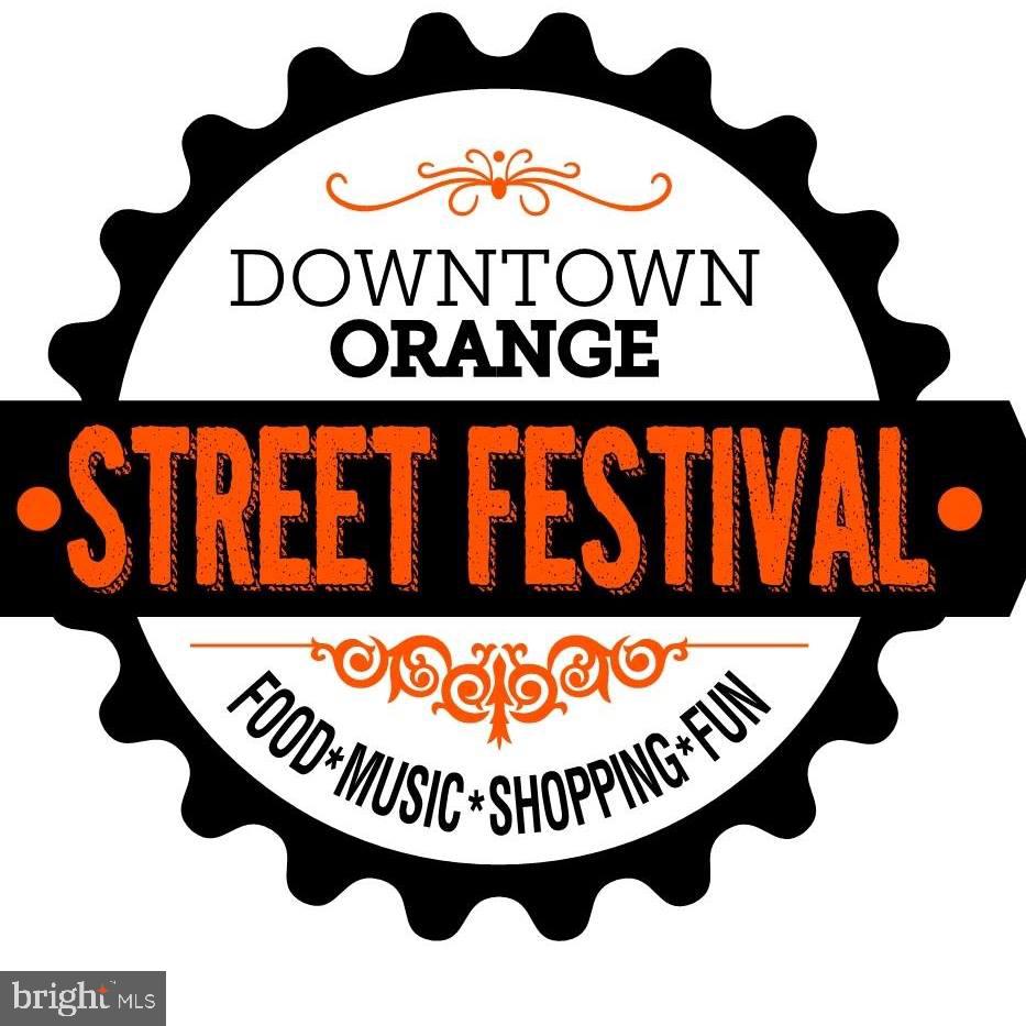 269 MONTEVISTA AVE, ORANGE, Virginia 22960, 4 Bedrooms Bedrooms, ,2 BathroomsBathrooms,Residential,For sale,269 MONTEVISTA AVE,VAOR2012694 MLS # VAOR2012694