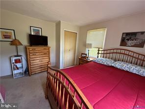 1686 LOCUST GROVE RD, TOPPING, Virginia 23169, 2 Bedrooms Bedrooms, 5 Rooms Rooms,2 BathroomsBathrooms,Residential,For sale,1686 LOCUST GROVE RD,VAMX2000264 MLS # VAMX2000264 1686 LOCUST GROVE RD, TOPPING, Virginia 23169, 2 Bedrooms Bedrooms, 5 Rooms Rooms,2 BathroomsBathrooms,Residential,For sale,1686 LOCUST GROVE RD,VAMX2000264 MLS # VAMX2000264