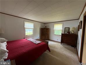 1686 LOCUST GROVE RD, TOPPING, Virginia 23169, 2 Bedrooms Bedrooms, 5 Rooms Rooms,2 BathroomsBathrooms,Residential,For sale,1686 LOCUST GROVE RD,VAMX2000264 MLS # VAMX2000264 1686 LOCUST GROVE RD, TOPPING, Virginia 23169, 2 Bedrooms Bedrooms, 5 Rooms Rooms,2 BathroomsBathrooms,Residential,For sale,1686 LOCUST GROVE RD,VAMX2000264 MLS # VAMX2000264