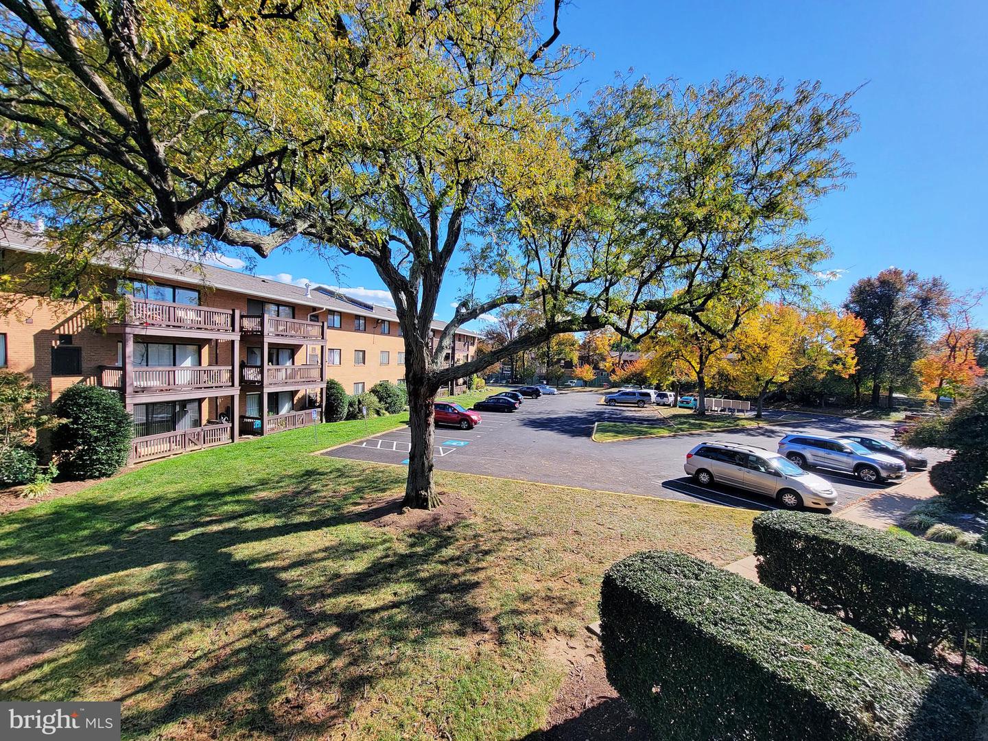 7602 SAVANNAH ST #204, FALLS CHURCH, Virginia 22043, 1 Bedroom Bedrooms, ,1 BathroomBathrooms,Residential,For sale,7602 SAVANNAH ST #204,VAFX2277184 MLS # VAFX2277184 7602 SAVANNAH ST #204, FALLS CHURCH, Virginia 22043, 1 Bedroom Bedrooms, ,1 BathroomBathrooms,Residential,For sale,7602 SAVANNAH ST #204,VAFX2277184 MLS # VAFX2277184