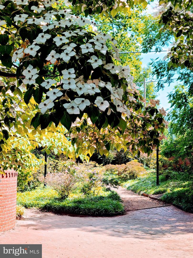 171 N MADISON ST, ORANGE, Virginia 22960, 3 Bedrooms Bedrooms, ,2 BathroomsBathrooms,Residential,For sale,171 N MADISON ST,VAOR2012712 MLS # VAOR2012712