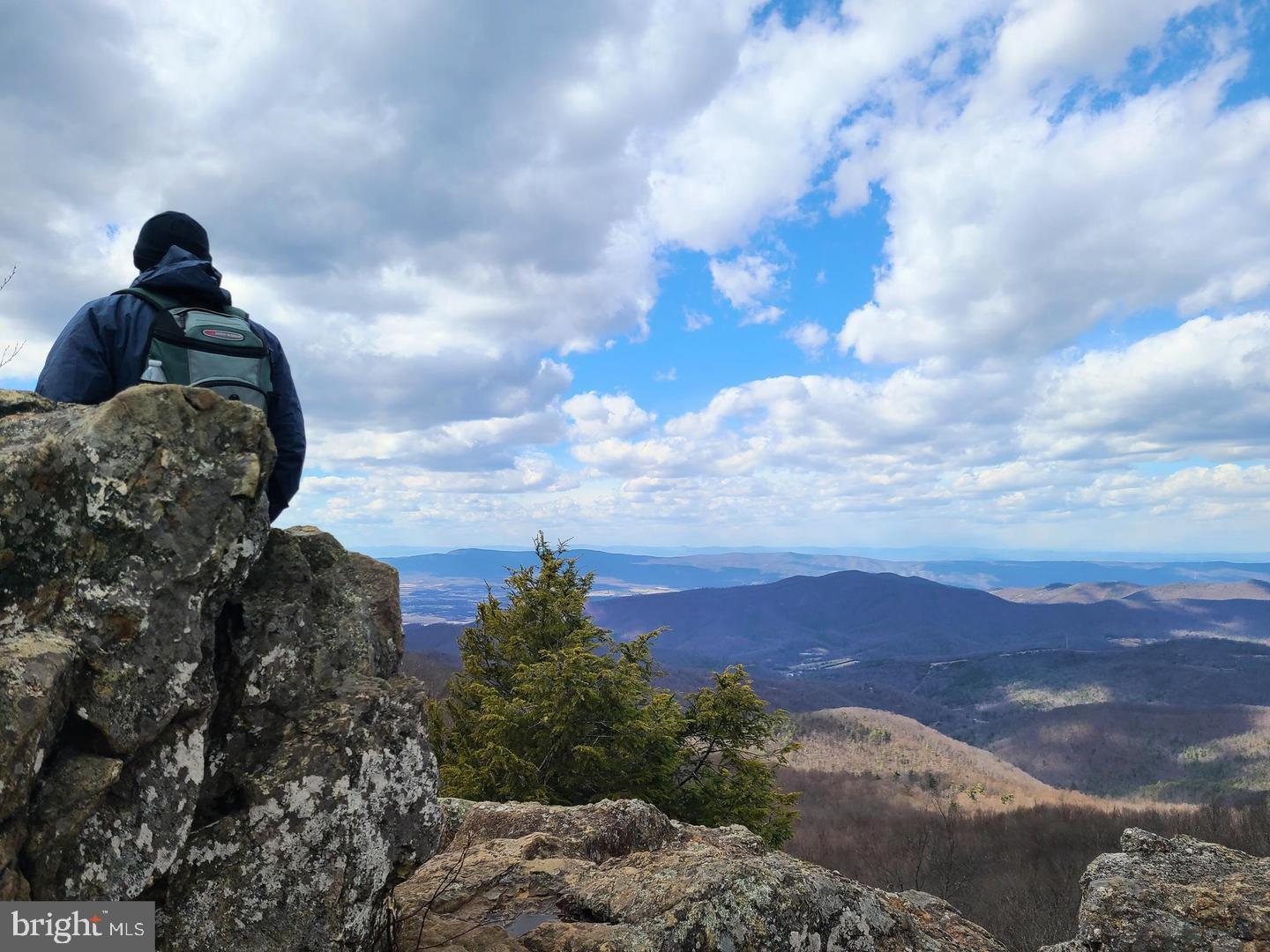 175 N MADISON ST, ORANGE, Virginia 22960, 2 Bedrooms Bedrooms, ,3 BathroomsBathrooms,Residential,For sale,175 N MADISON ST,VAOR2012716 MLS # VAOR2012716