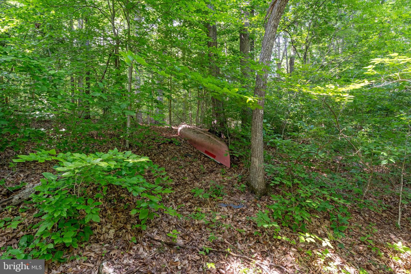 8911 MILLWOOD DR, SPOTSYLVANIA, Virginia 22551, 5 Bedrooms Bedrooms, ,4 BathroomsBathrooms,Residential,For sale,8911 MILLWOOD DR,VASP2037380 MLS # VASP2037380