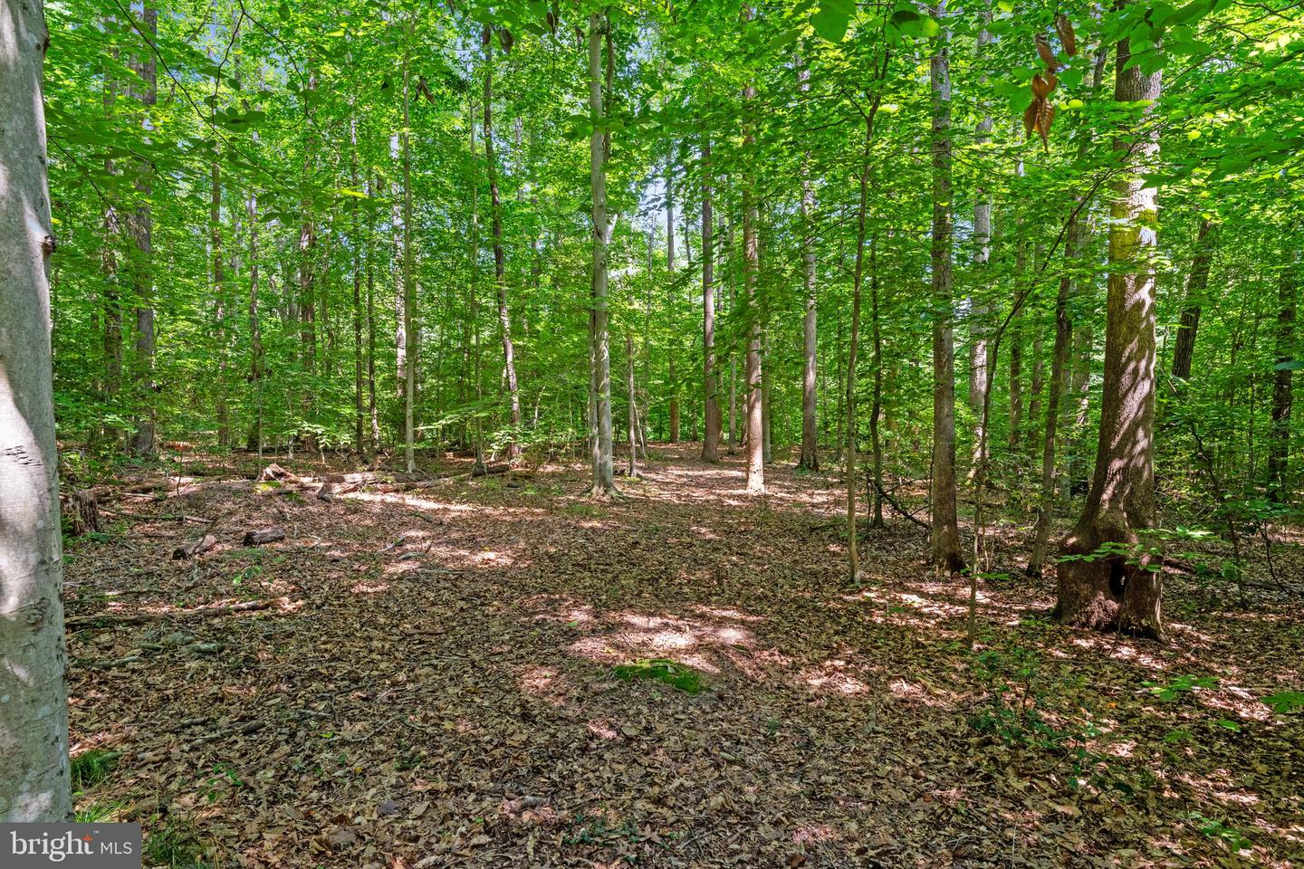 8911 MILLWOOD DR, SPOTSYLVANIA, Virginia 22551, 5 Bedrooms Bedrooms, ,4 BathroomsBathrooms,Residential,For sale,8911 MILLWOOD DR,VASP2037380 MLS # VASP2037380