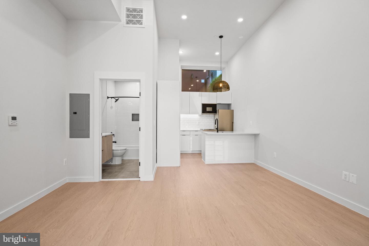 733 8TH ST SE #101, WASHINGTON, District Of Columbia 20003, ,Land,For sale,733 8TH ST SE #101,DCDC2230006 MLS # DCDC2230006