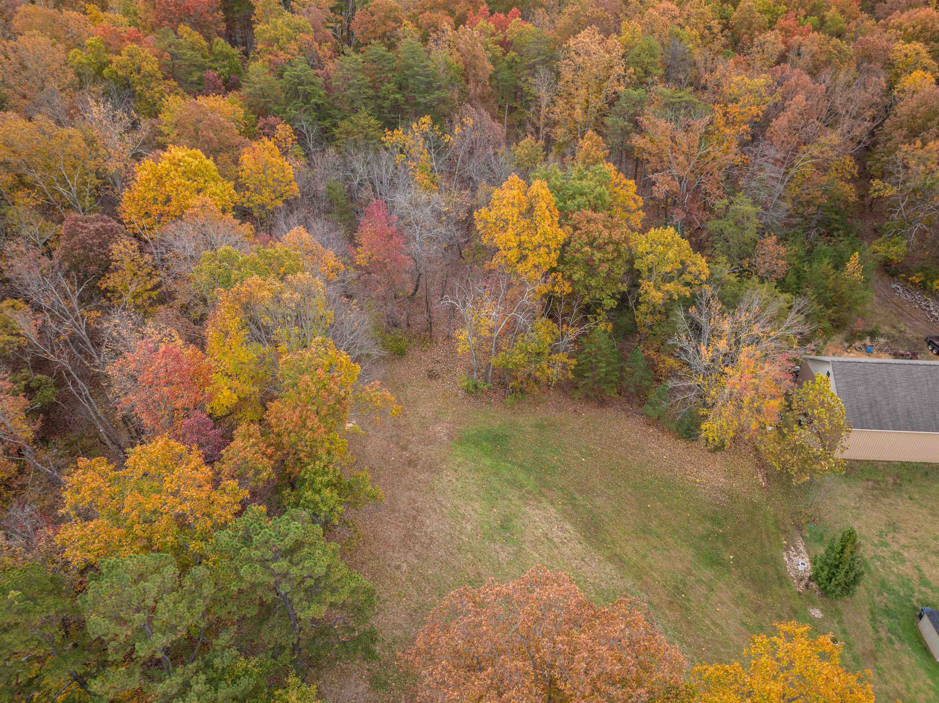 TBD INCH RUN LN, LYNDHURST, Virginia 22952, ,Farm,TBD INCH RUN LN,670638 MLS # 670638