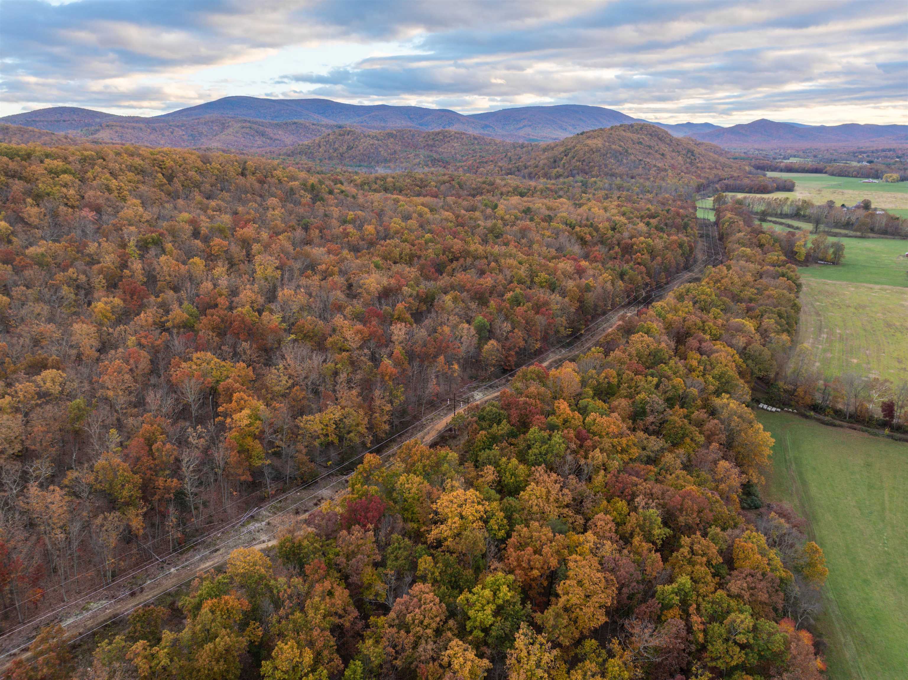 TBD INCH RUN LN, LYNDHURST, Virginia 22952, ,Farm,TBD INCH RUN LN,670638 MLS # 670638