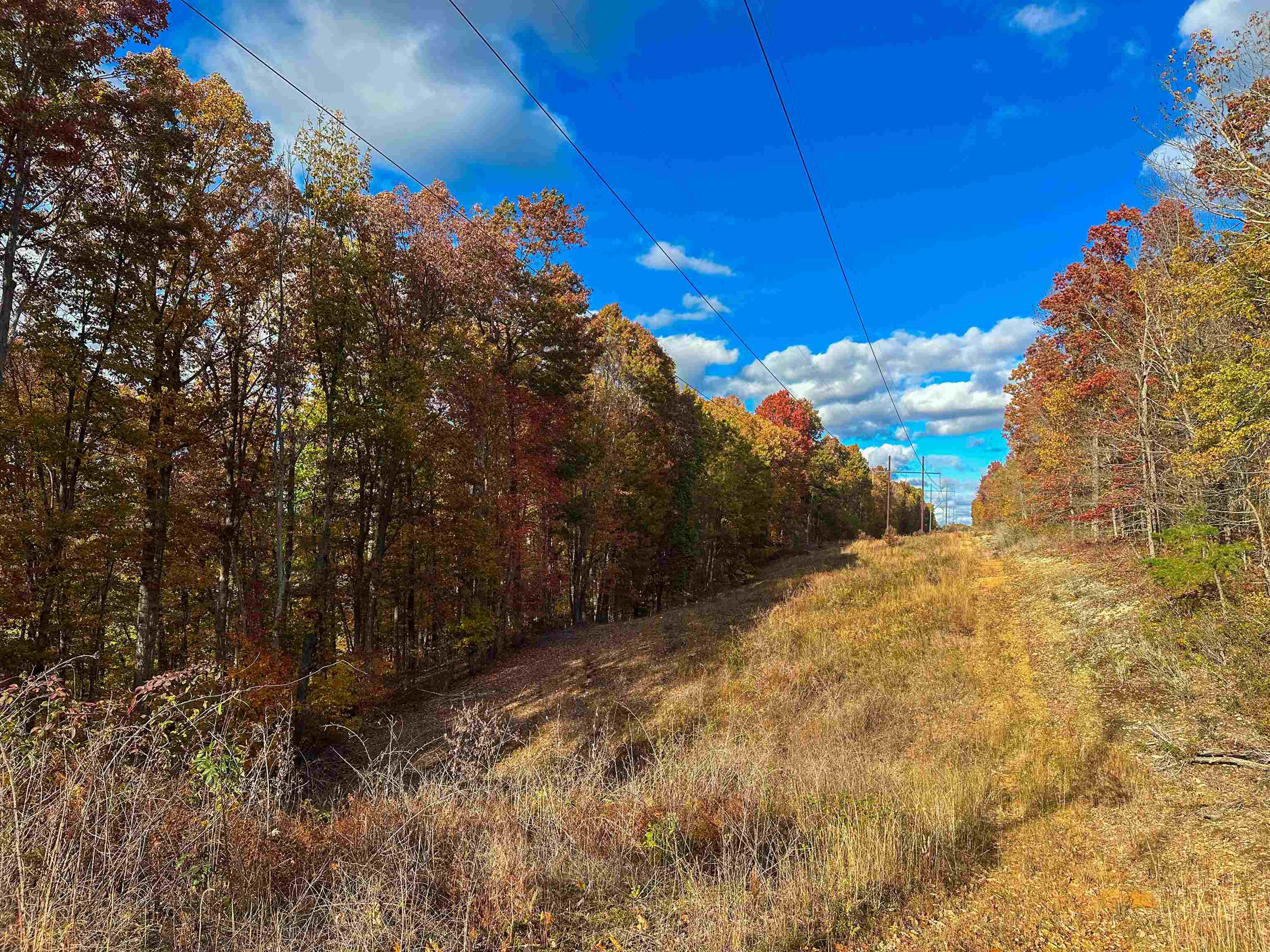 TBD INCH RUN LN, LYNDHURST, Virginia 22952, ,Farm,TBD INCH RUN LN,670638 MLS # 670638