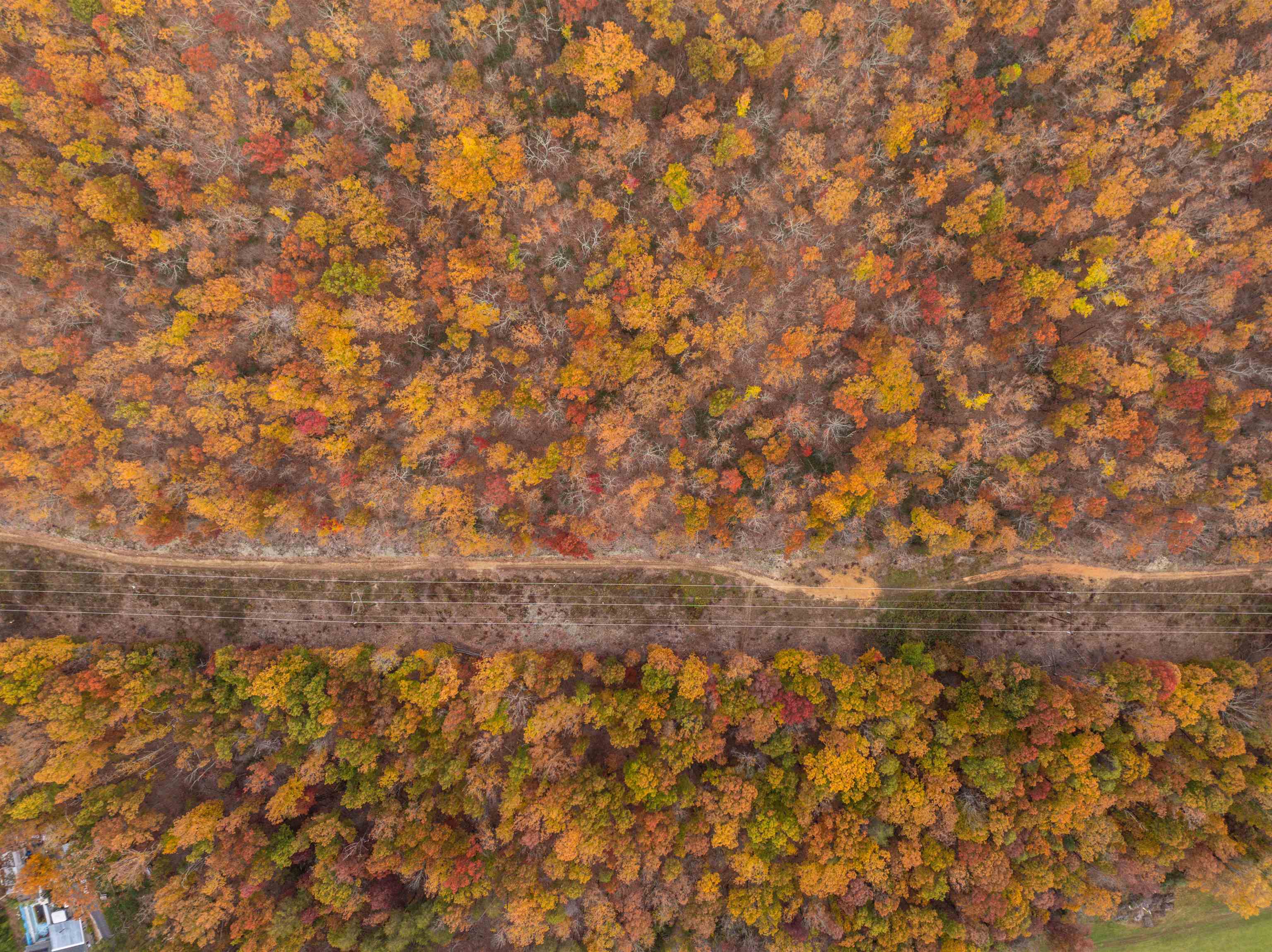 TBD INCH RUN LN, LYNDHURST, Virginia 22952, ,Farm,TBD INCH RUN LN,670638 MLS # 670638