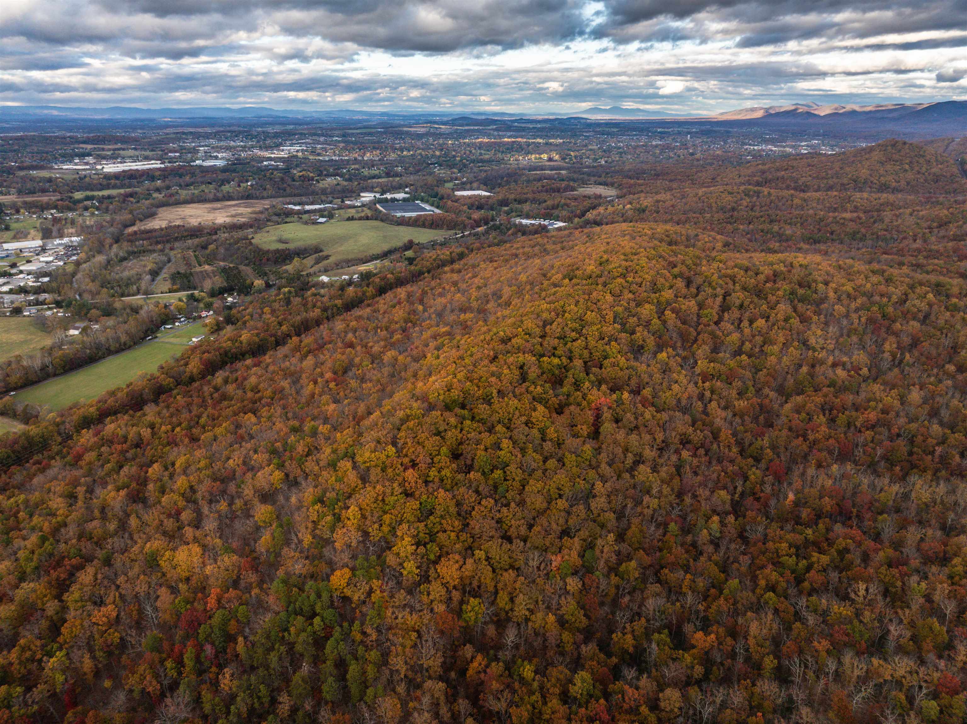 TBD INCH RUN LN, LYNDHURST, Virginia 22952, ,Farm,TBD INCH RUN LN,670638 MLS # 670638