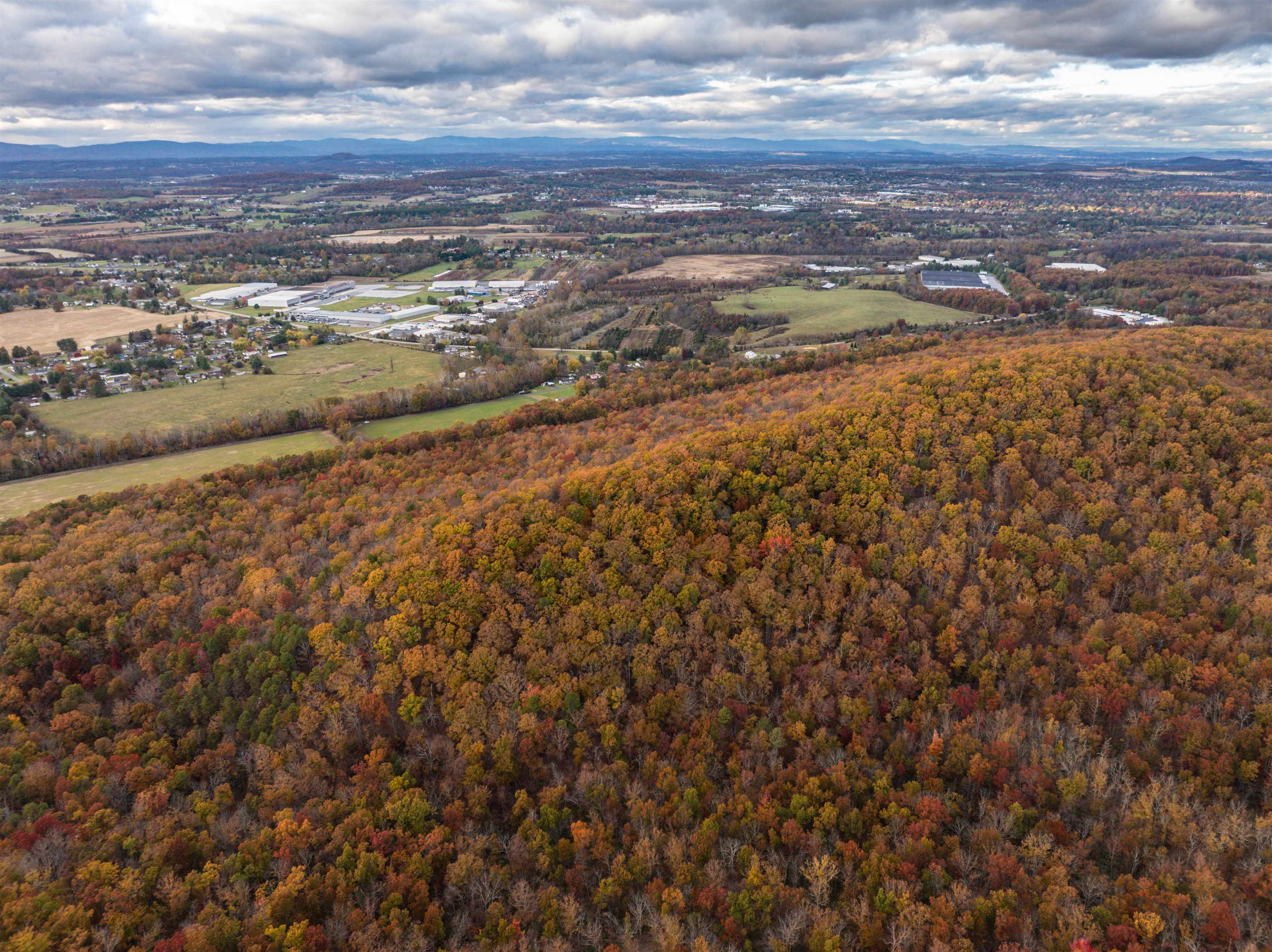 TBD INCH RUN LN, LYNDHURST, Virginia 22952, ,Farm,TBD INCH RUN LN,670638 MLS # 670638