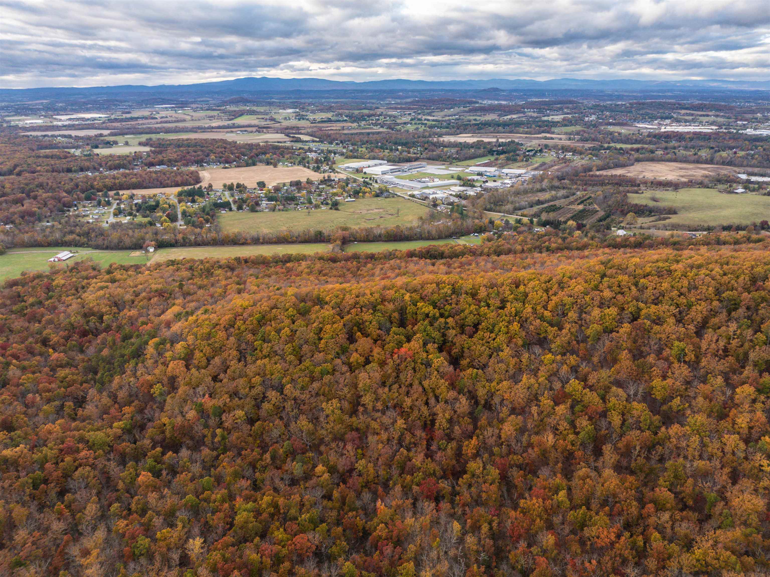 TBD INCH RUN LN, LYNDHURST, Virginia 22952, ,Farm,TBD INCH RUN LN,670638 MLS # 670638