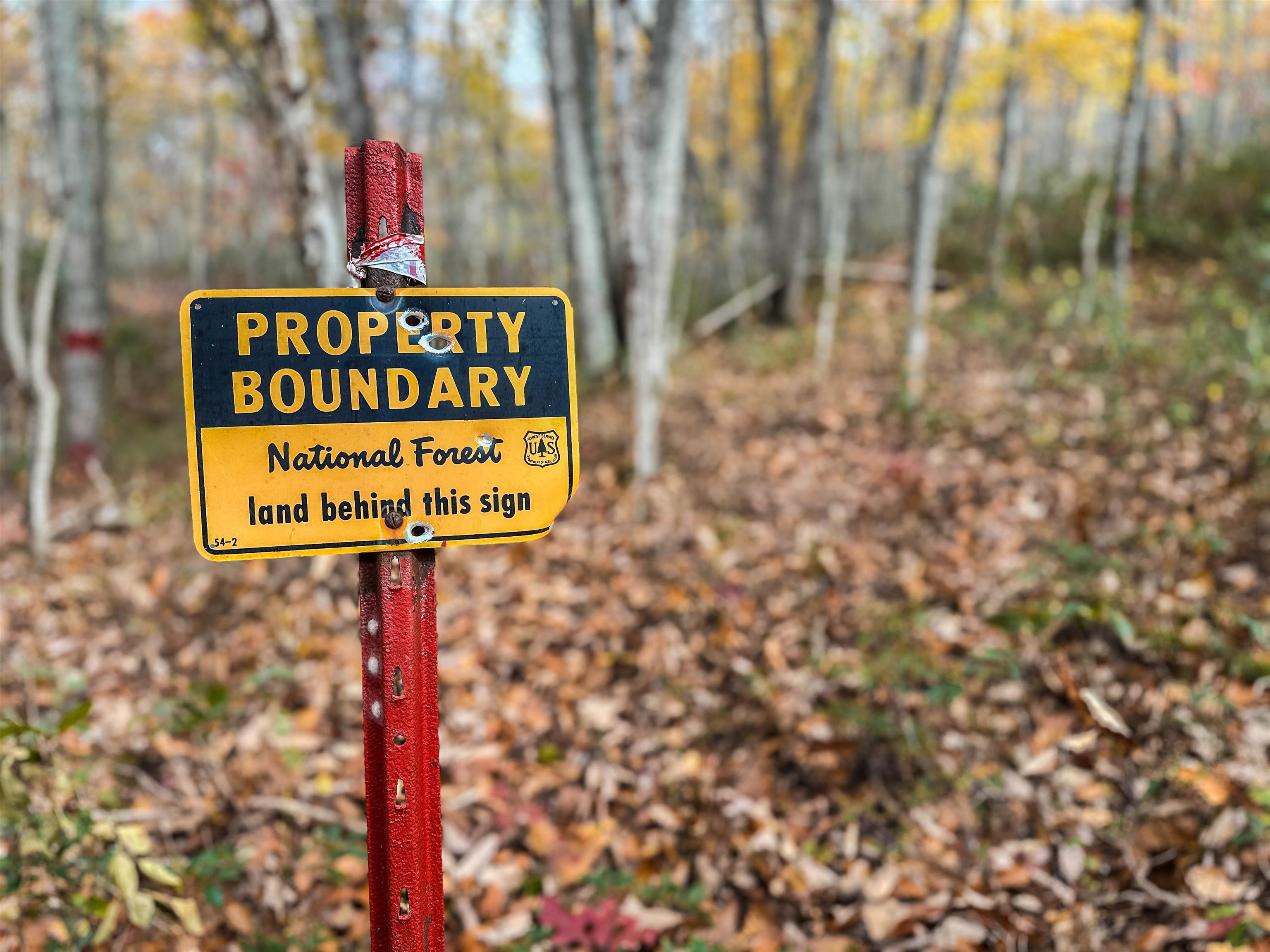 TBD INCH RUN LN, LYNDHURST, Virginia 22952, ,Farm,TBD INCH RUN LN,670638 MLS # 670638