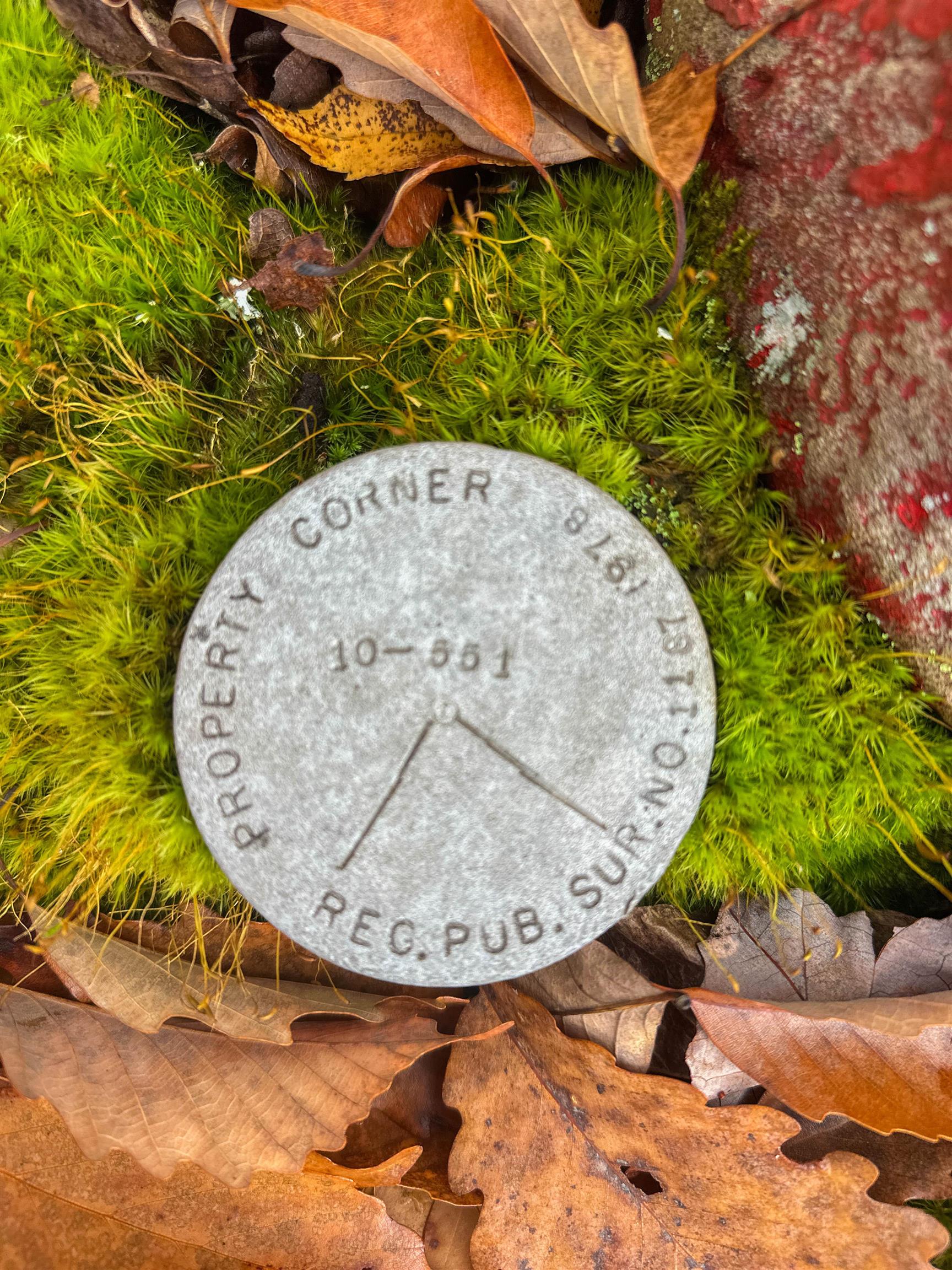 TBD INCH RUN LN, LYNDHURST, Virginia 22952, ,Farm,TBD INCH RUN LN,670638 MLS # 670638