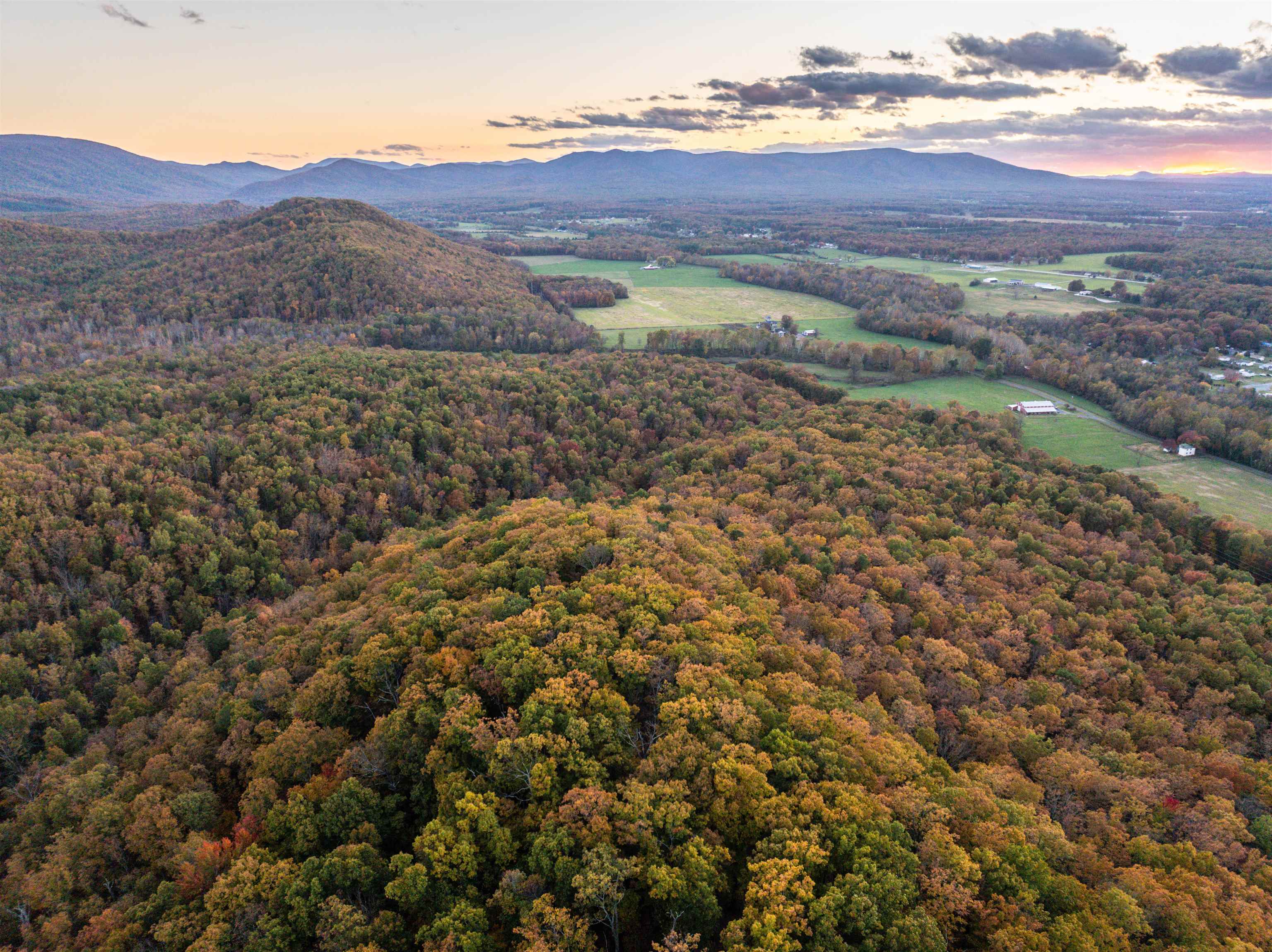 TBD INCH RUN LN, LYNDHURST, Virginia 22952, ,Farm,TBD INCH RUN LN,670638 MLS # 670638