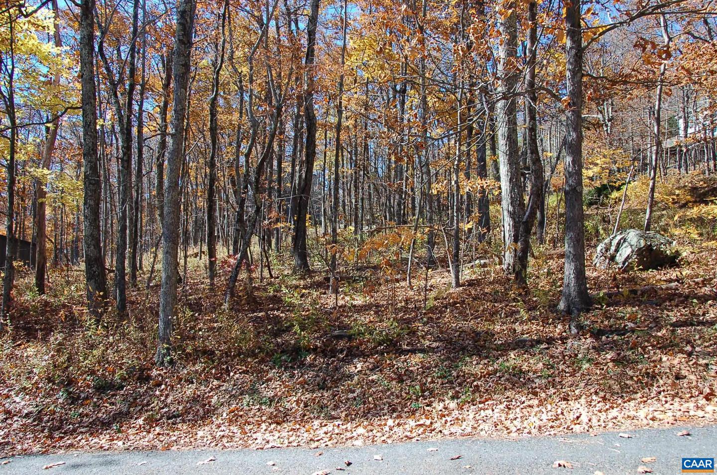 24 WHITE OAK LN, WINTERGREEN RESORT, Virginia 22967, ,Land,For sale,24 WHITE OAK LN,670632 MLS # 670632