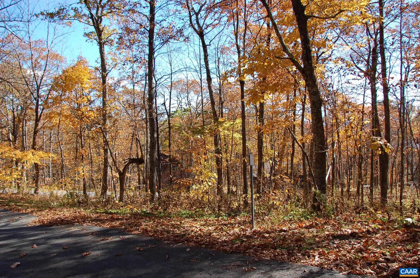 24 WHITE OAK LN, WINTERGREEN RESORT, Virginia 22967, ,Land,For sale,24 WHITE OAK LN,670632 MLS # 670632