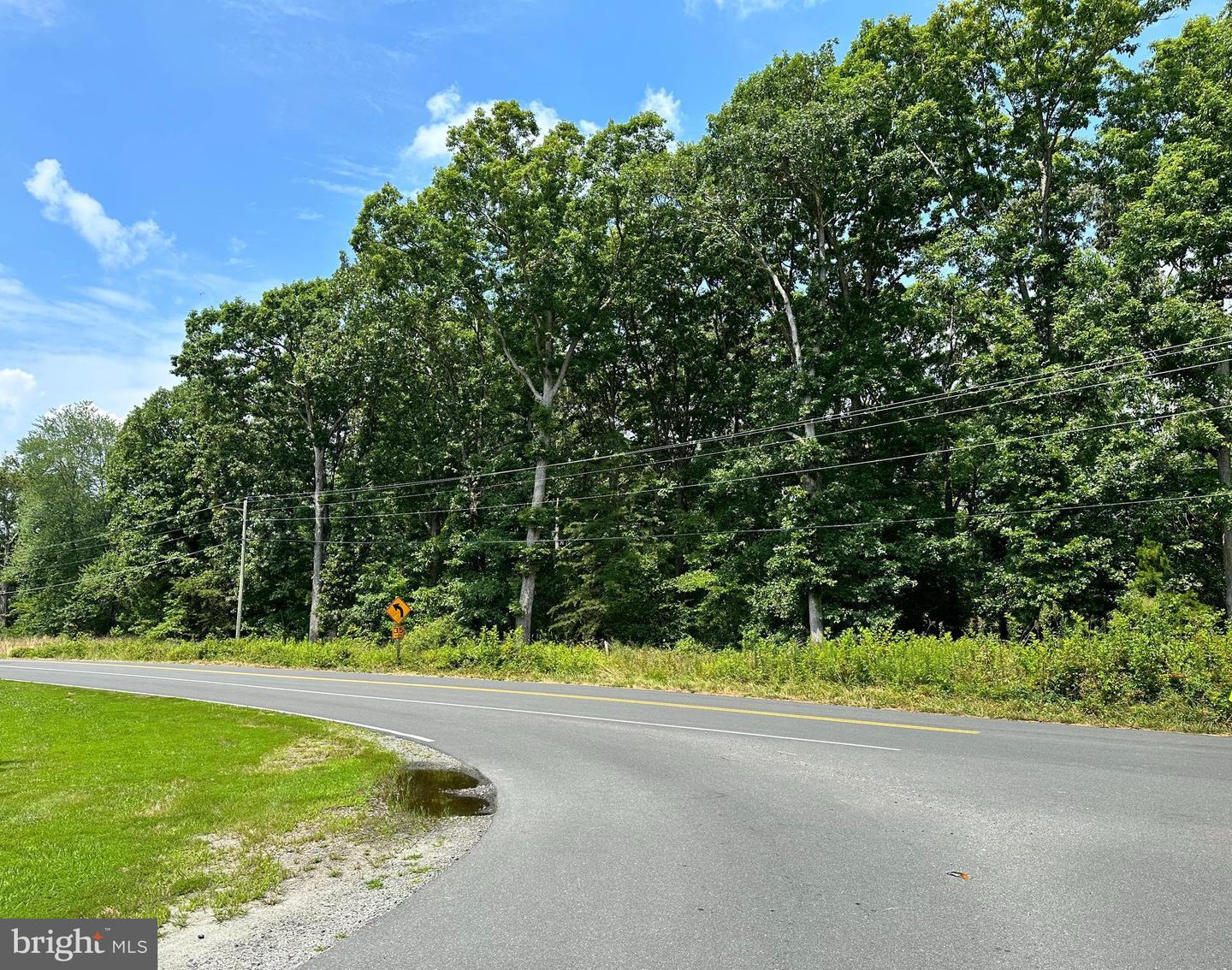 10220 JIM MORRIS RD, FREDERICKSBURG, Virginia 22408, ,Land,For sale,10220 JIM MORRIS RD,VASP2037264 MLS # VASP2037264 10220 JIM MORRIS RD, FREDERICKSBURG, Virginia 22408, ,Land,For sale,10220 JIM MORRIS RD,VASP2037264 MLS # VASP2037264