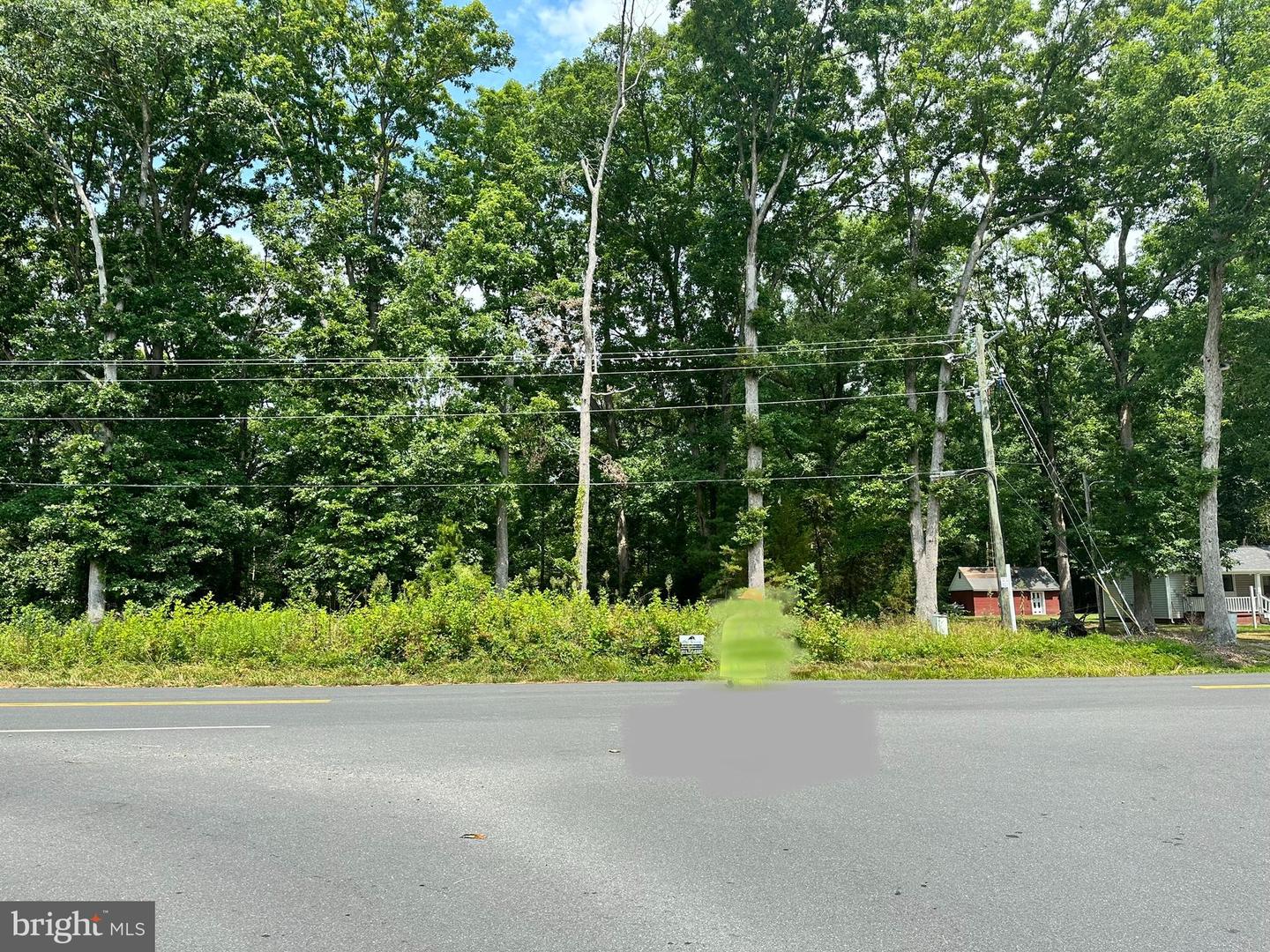 10220 JIM MORRIS RD, FREDERICKSBURG, Virginia 22408, ,Land,For sale,10220 JIM MORRIS RD,VASP2037264 MLS # VASP2037264 10220 JIM MORRIS RD, FREDERICKSBURG, Virginia 22408, ,Land,For sale,10220 JIM MORRIS RD,VASP2037264 MLS # VASP2037264