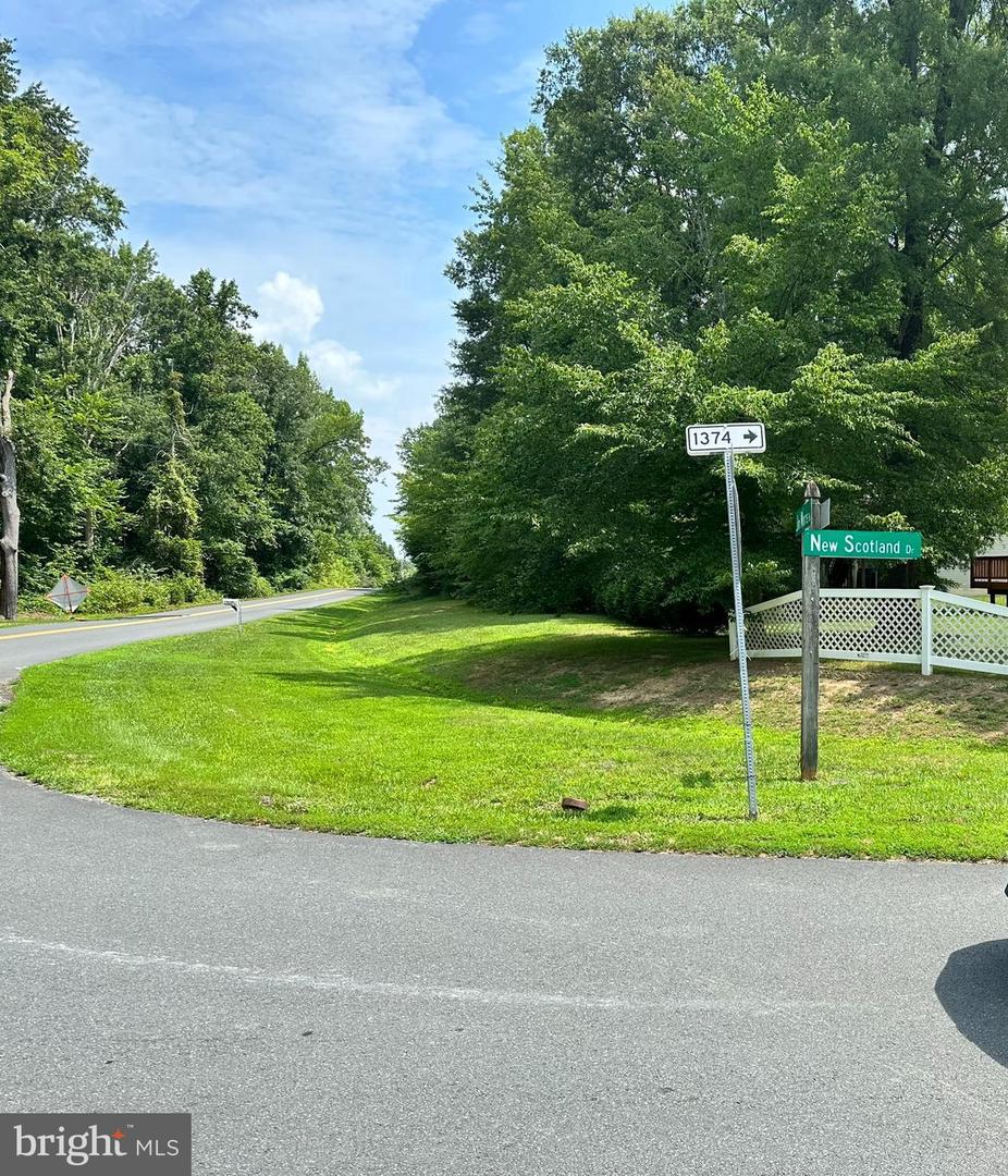 10220 JIM MORRIS RD, FREDERICKSBURG, Virginia 22408, ,Land,For sale,10220 JIM MORRIS RD,VASP2037264 MLS # VASP2037264 10220 JIM MORRIS RD, FREDERICKSBURG, Virginia 22408, ,Land,For sale,10220 JIM MORRIS RD,VASP2037264 MLS # VASP2037264